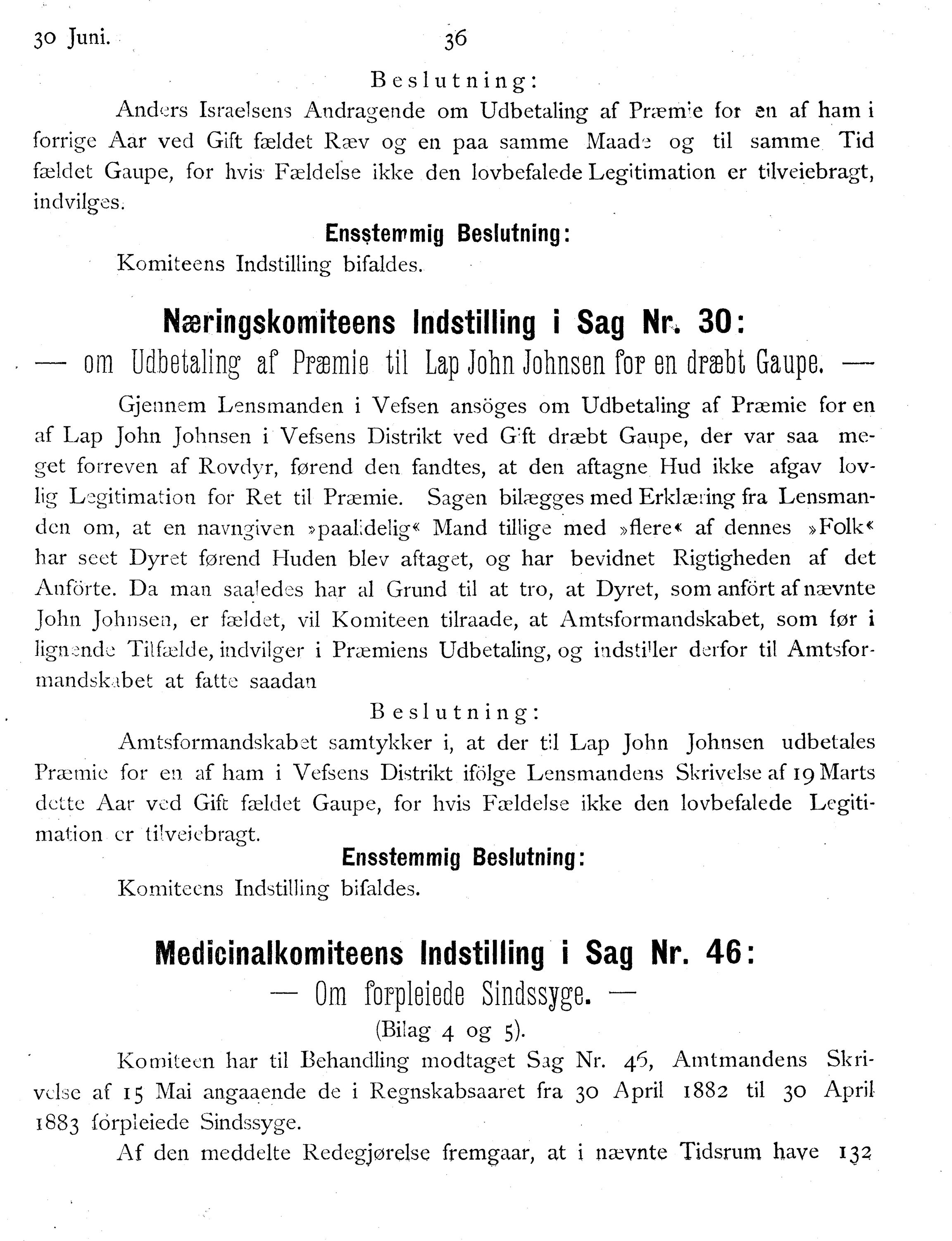 Nordland Fylkeskommune. Fylkestinget, AIN/NFK-17/176/A/Ac/L0014: Fylkestingsforhandlinger 1881-1885, 1881-1885