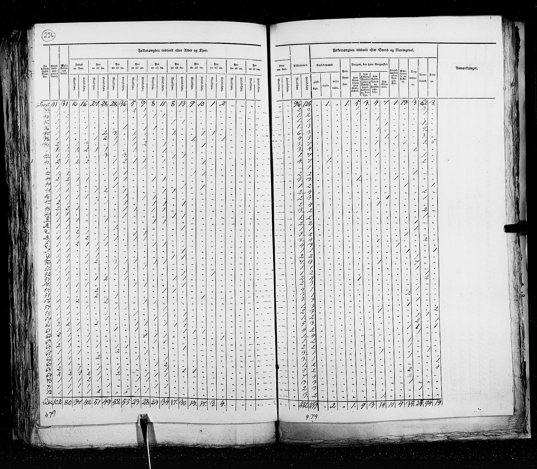 RA, Census 1825, vol. 20: Fredrikshald-Kragerø, 1825, p. 236