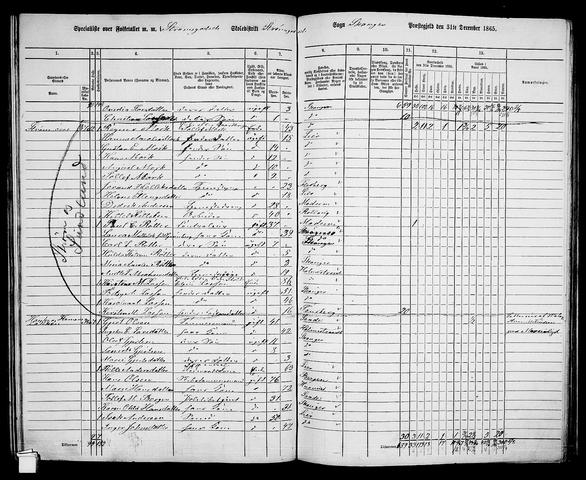 RA, 1865 census for Skoger, 1865, p. 138