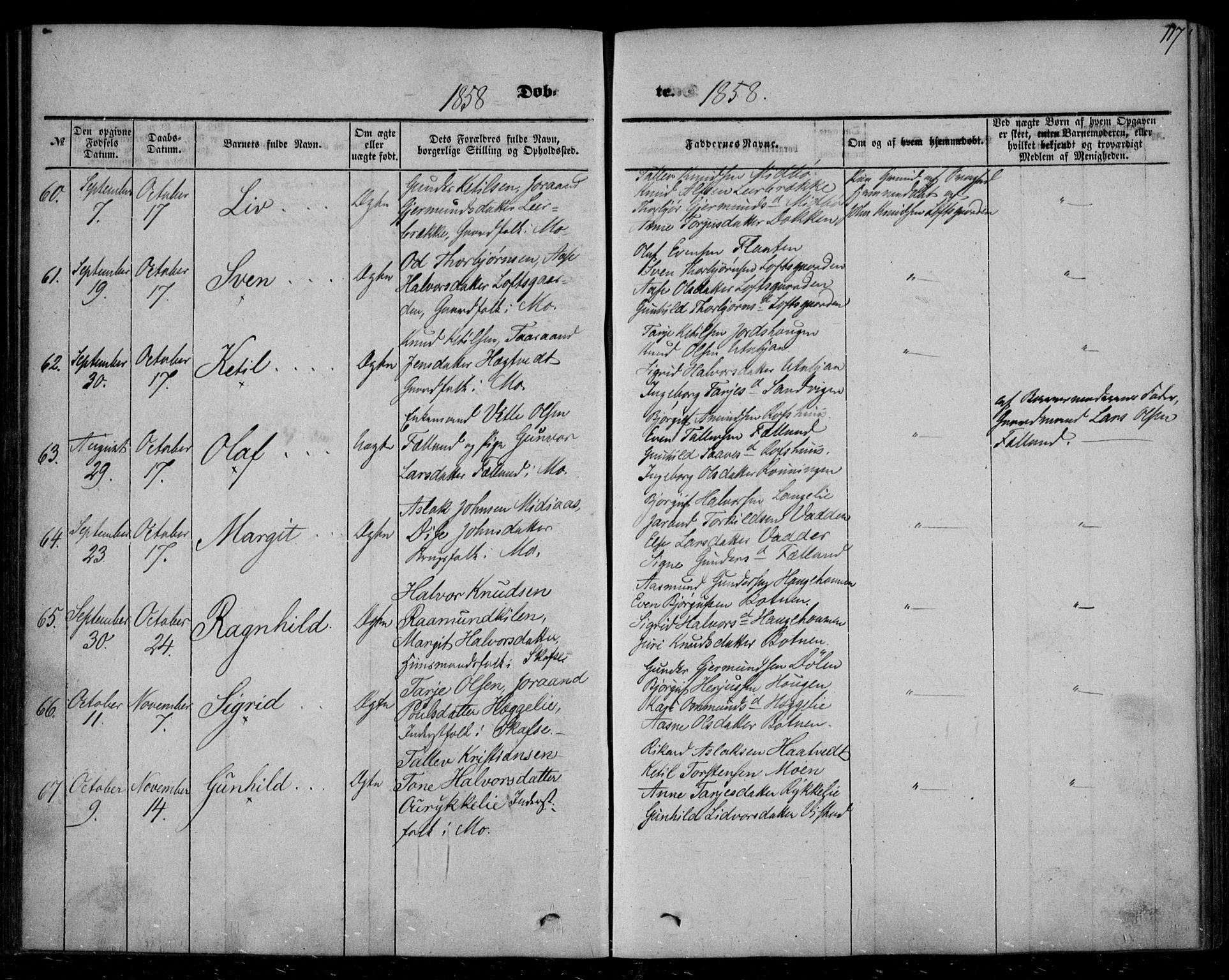 Mo kirkebøker, AV/SAKO-A-286/F/Fa/L0005: Parish register (official) no. I 5, 1844-1864, p. 117