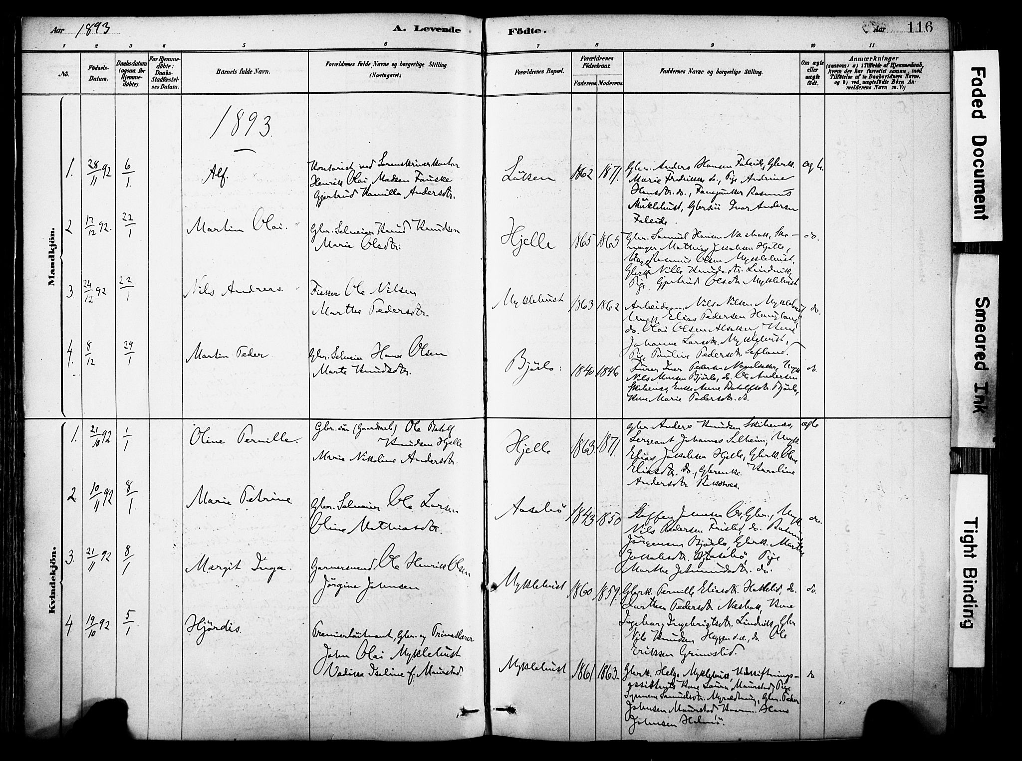 Eid sokneprestembete, AV/SAB-A-82301/H/Haa/Haab/L0001: Parish register (official) no. B 1, 1879-1906, p. 116