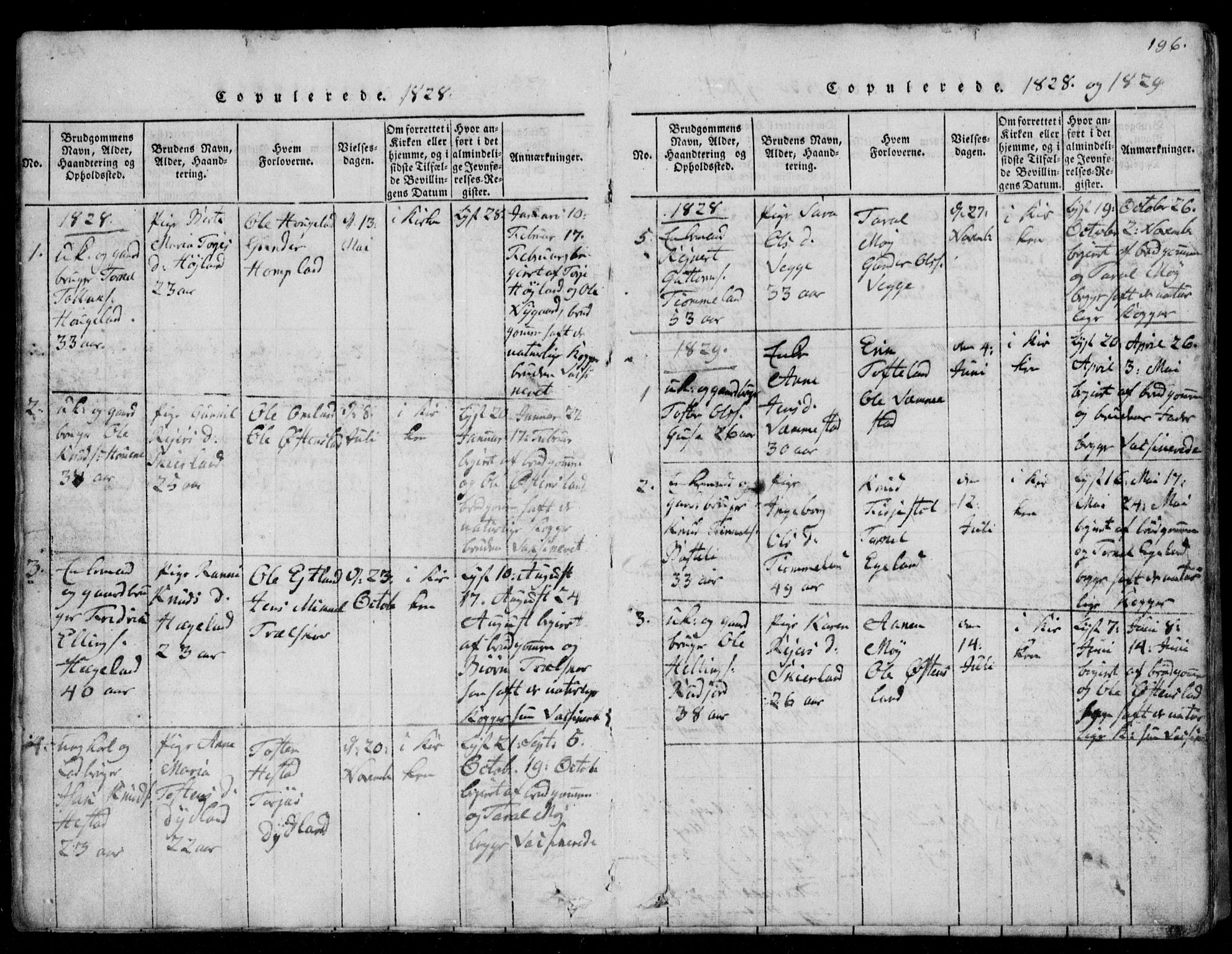 Lyngdal sokneprestkontor, AV/SAK-1111-0029/F/Fb/Fbb/L0001: Parish register (copy) no. B 1, 1816-1900, p. 196