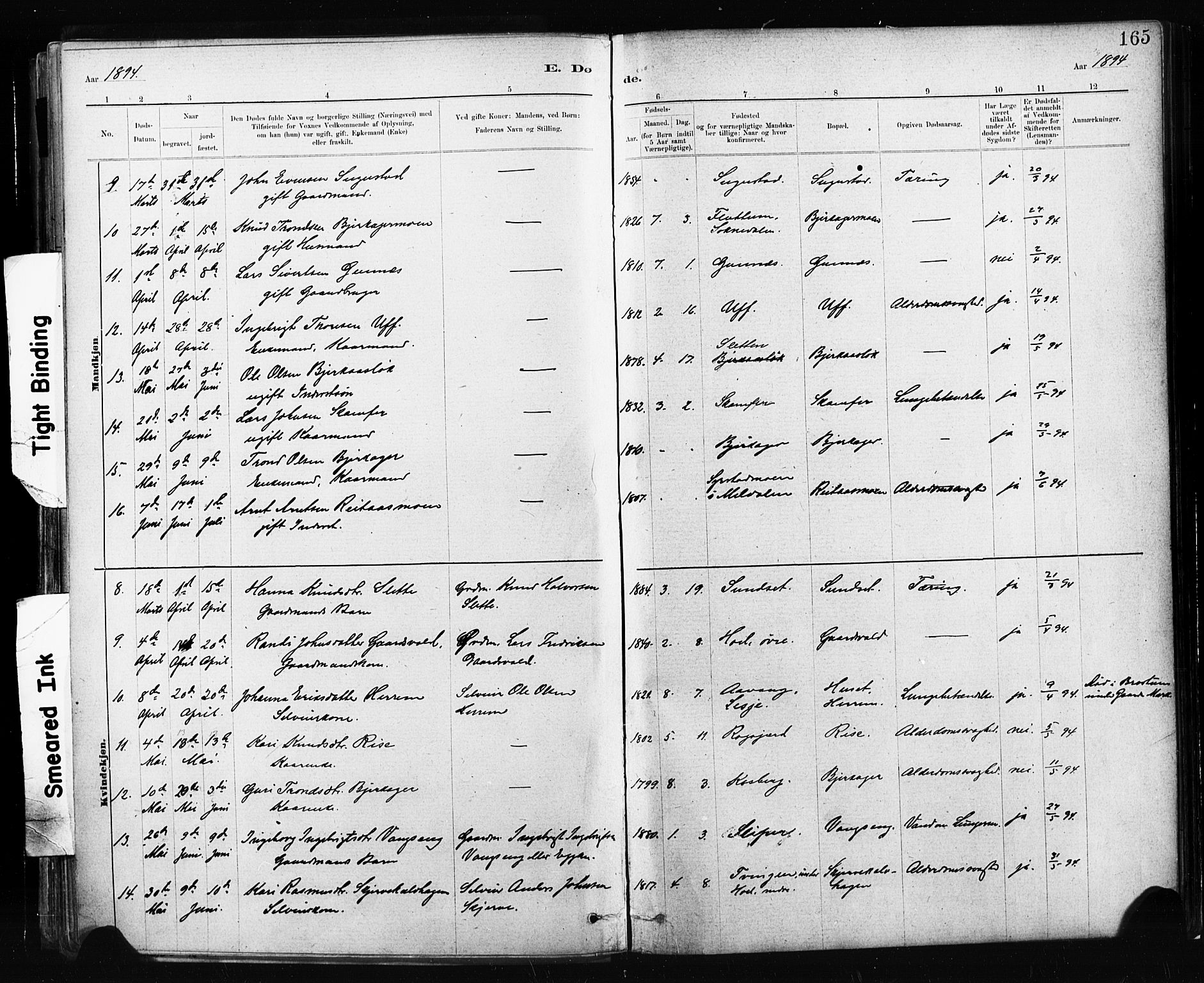 Ministerialprotokoller, klokkerbøker og fødselsregistre - Sør-Trøndelag, SAT/A-1456/674/L0871: Parish register (official) no. 674A03, 1880-1896, p. 165