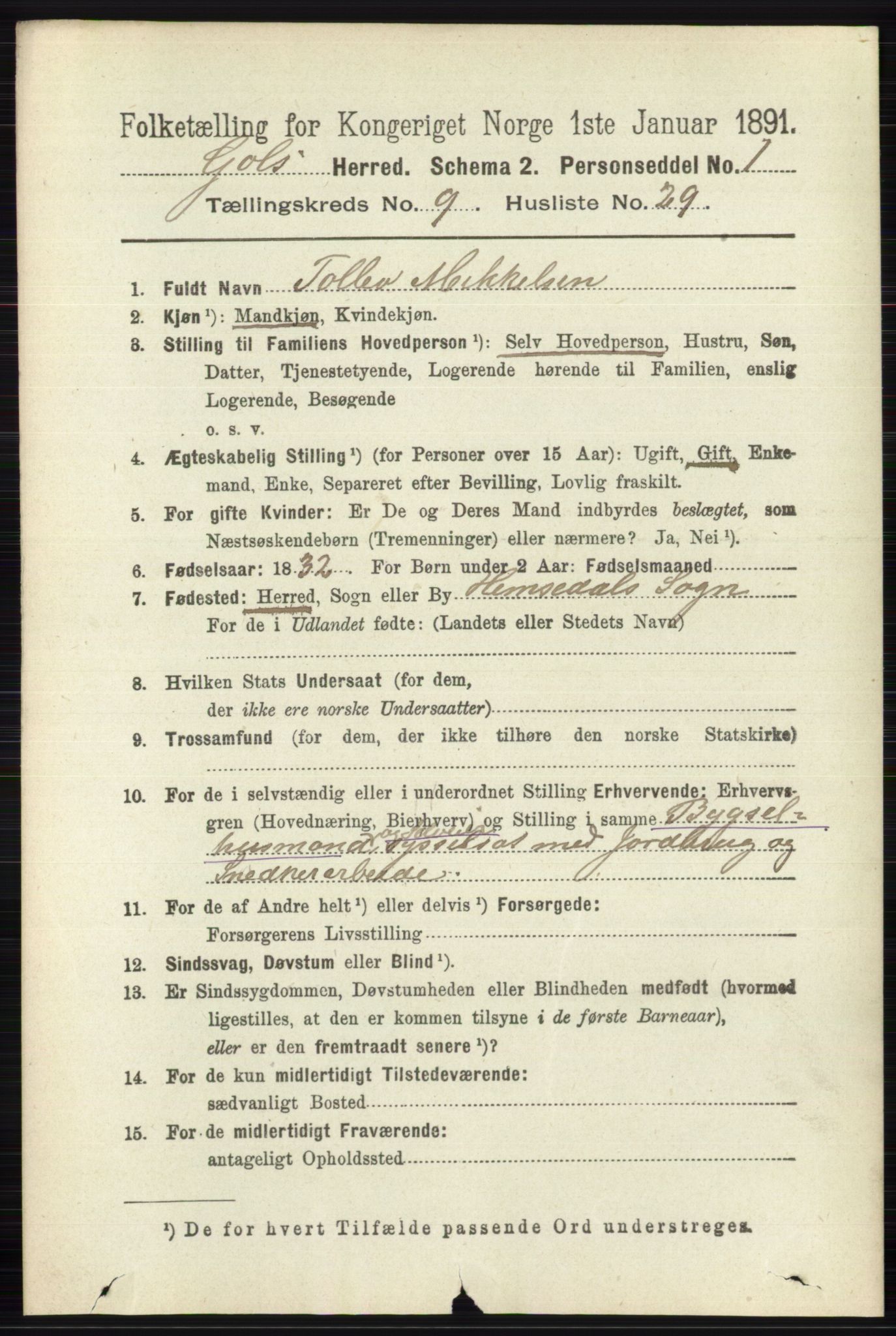 RA, 1891 census for 0617 Gol og Hemsedal, 1891, p. 3563