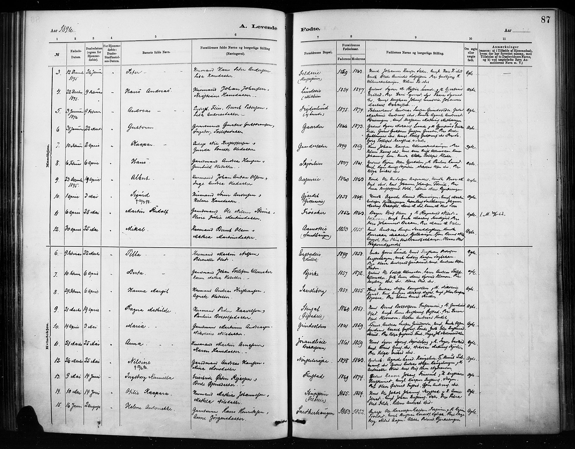 Nordre Land prestekontor, SAH/PREST-124/H/Ha/Haa/L0004: Parish register (official) no. 4, 1882-1896, p. 87