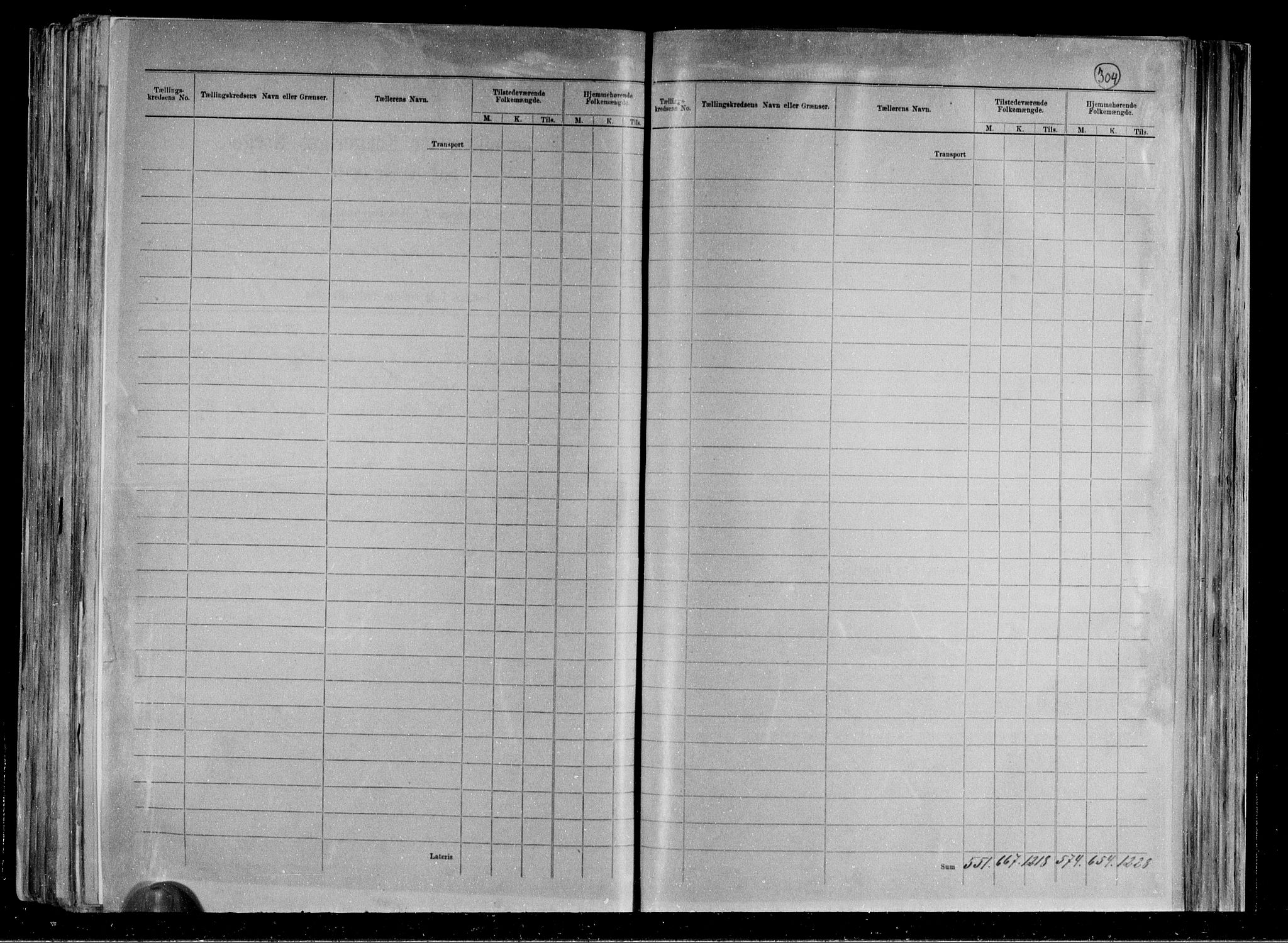 RA, 1891 census for 0802 Langesund, 1891, p. 4