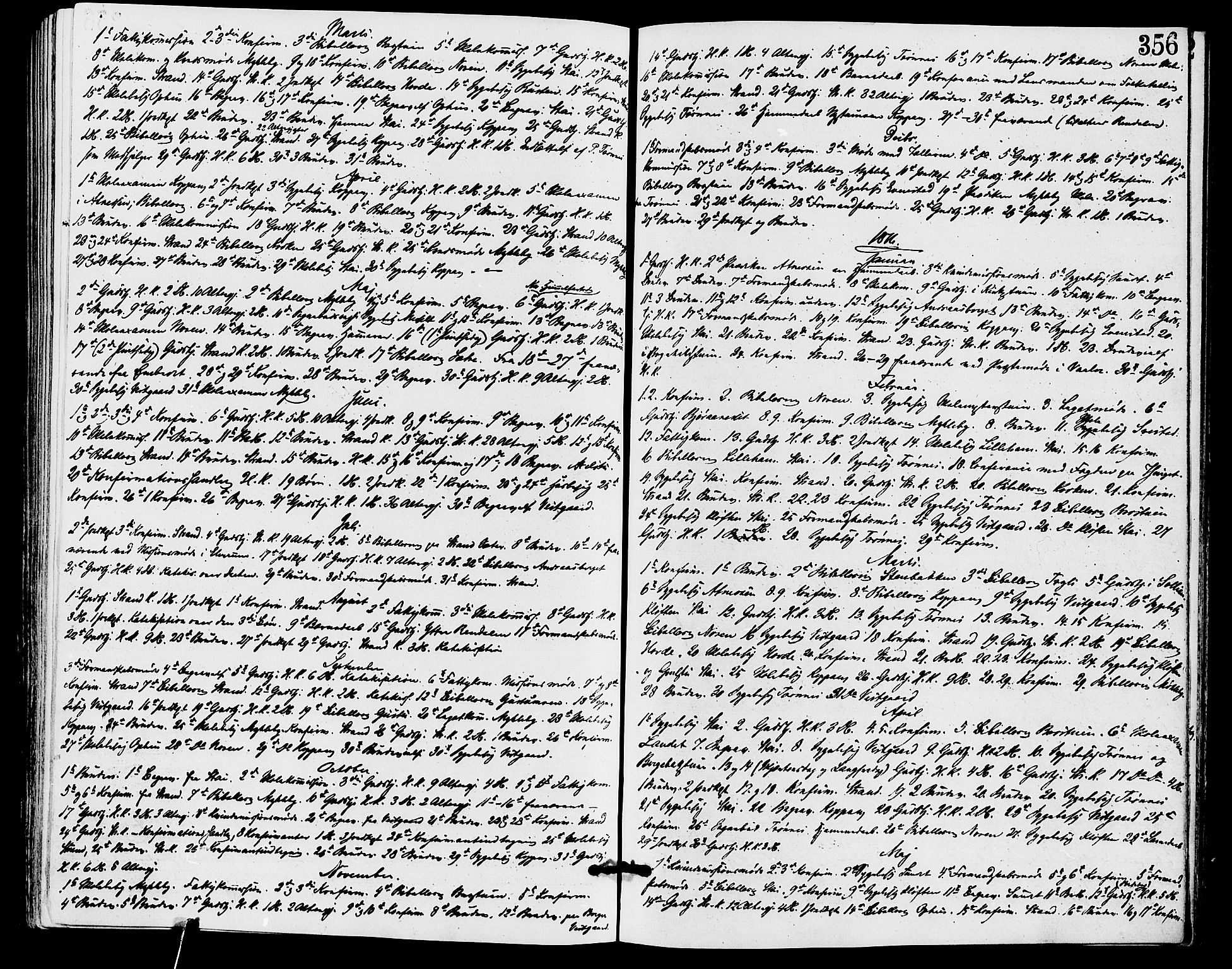 Stor-Elvdal prestekontor, AV/SAH-PREST-052/H/Ha/Haa/L0001: Parish register (official) no. 1, 1871-1882, p. 356