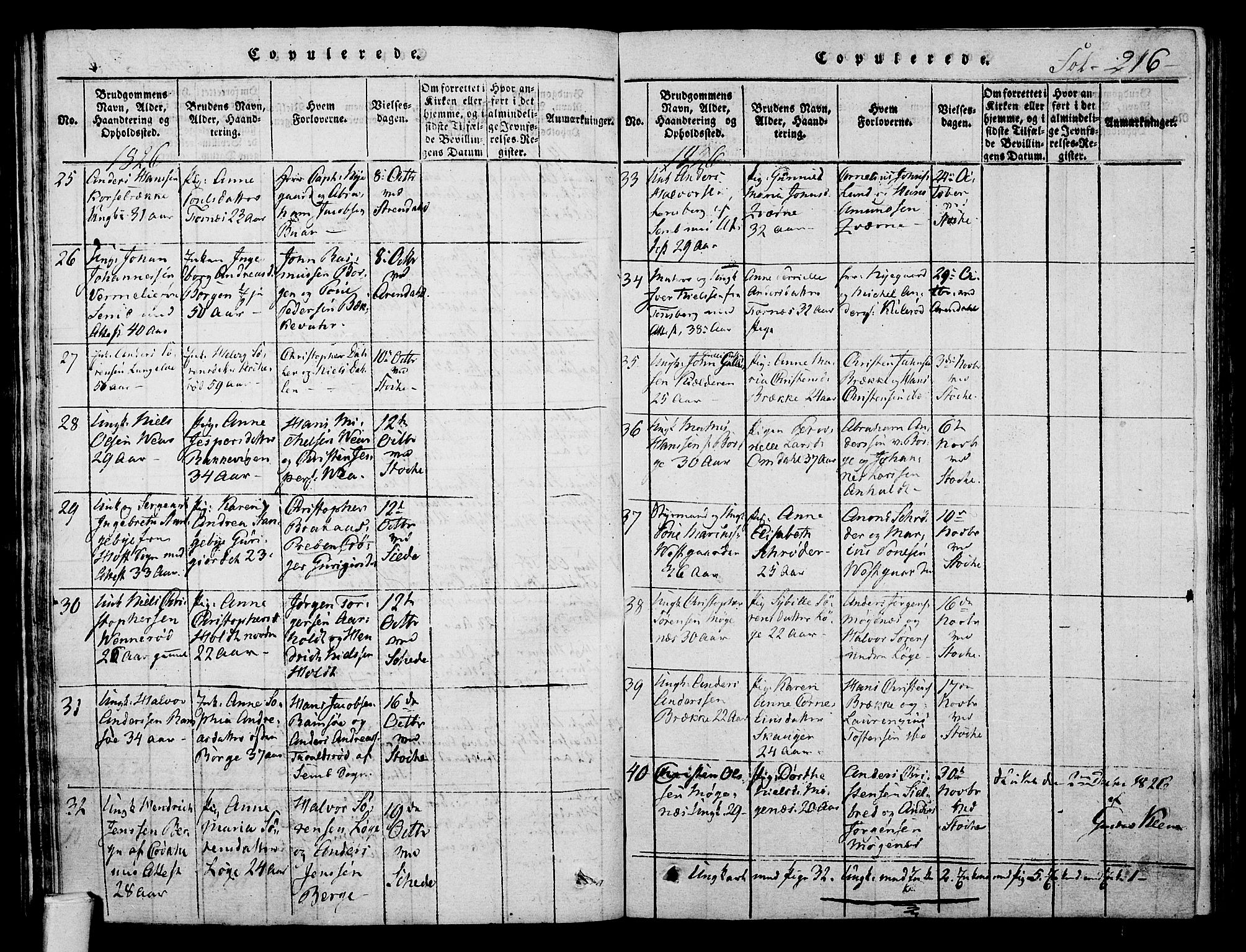 Stokke kirkebøker, AV/SAKO-A-320/F/Fa/L0005: Parish register (official) no. I 5, 1815-1826, p. 216