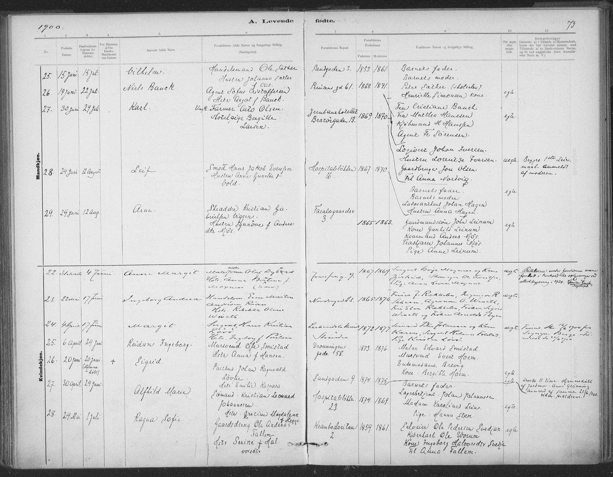 Ministerialprotokoller, klokkerbøker og fødselsregistre - Sør-Trøndelag, AV/SAT-A-1456/602/L0122: Parish register (official) no. 602A20, 1892-1908, p. 73