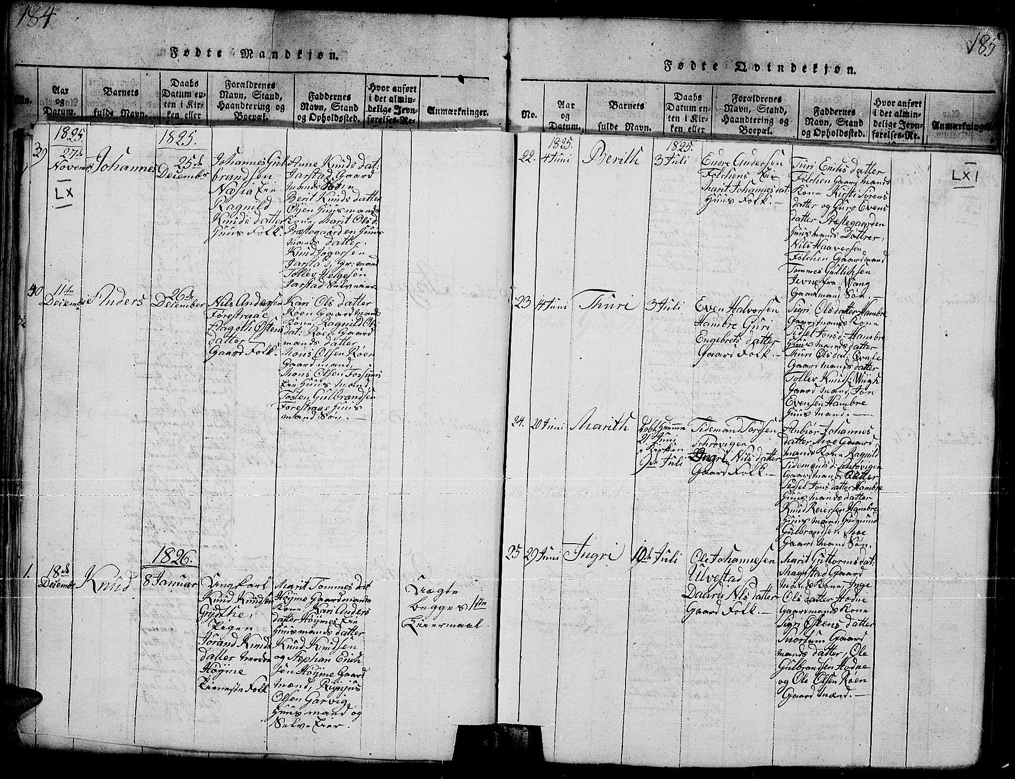 Slidre prestekontor, SAH/PREST-134/H/Ha/Hab/L0001: Parish register (copy) no. 1, 1814-1838, p. 185e