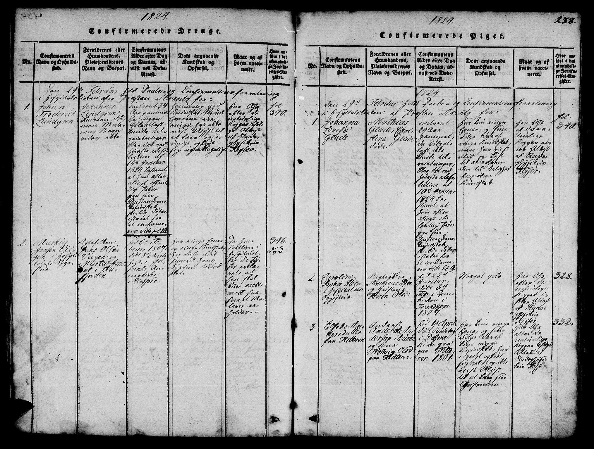 Ministerialprotokoller, klokkerbøker og fødselsregistre - Sør-Trøndelag, SAT/A-1456/623/L0478: Parish register (copy) no. 623C01, 1815-1873, p. 238