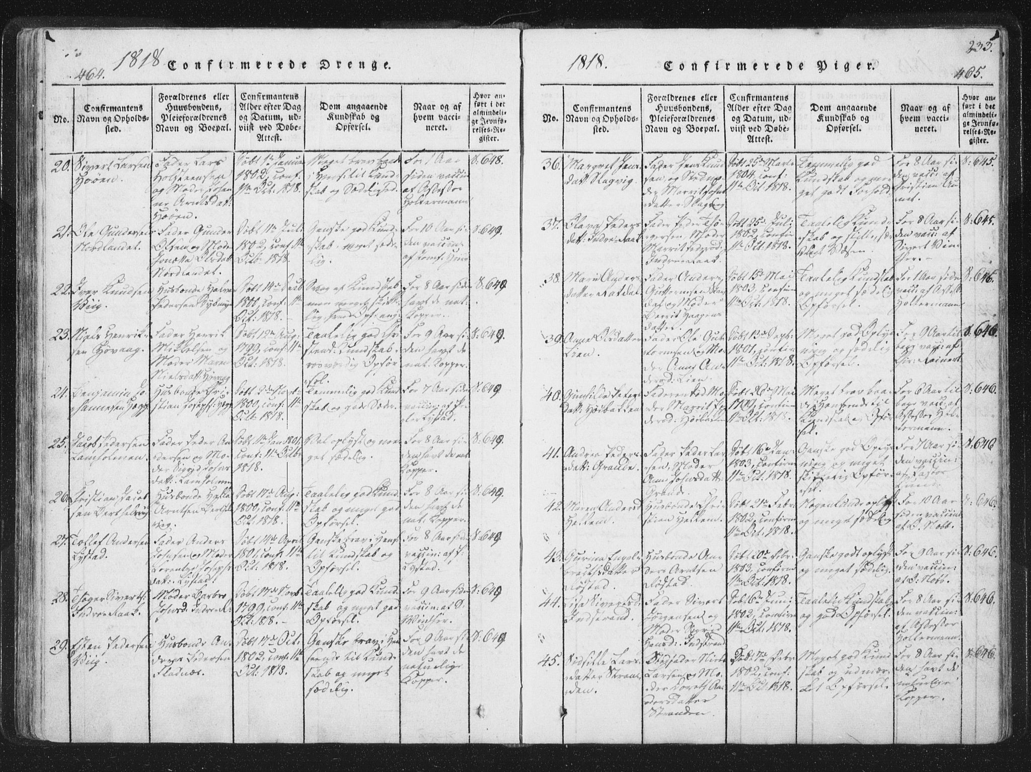 Ministerialprotokoller, klokkerbøker og fødselsregistre - Sør-Trøndelag, AV/SAT-A-1456/659/L0734: Parish register (official) no. 659A04, 1818-1825, p. 464-465