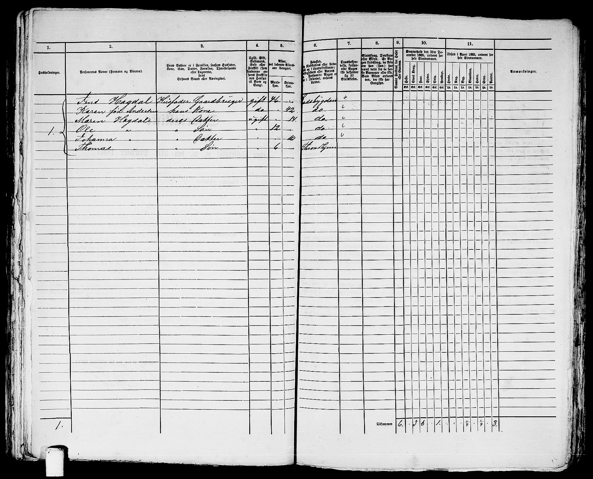 RA, 1865 census for Trondheim, 1865, p. 2338