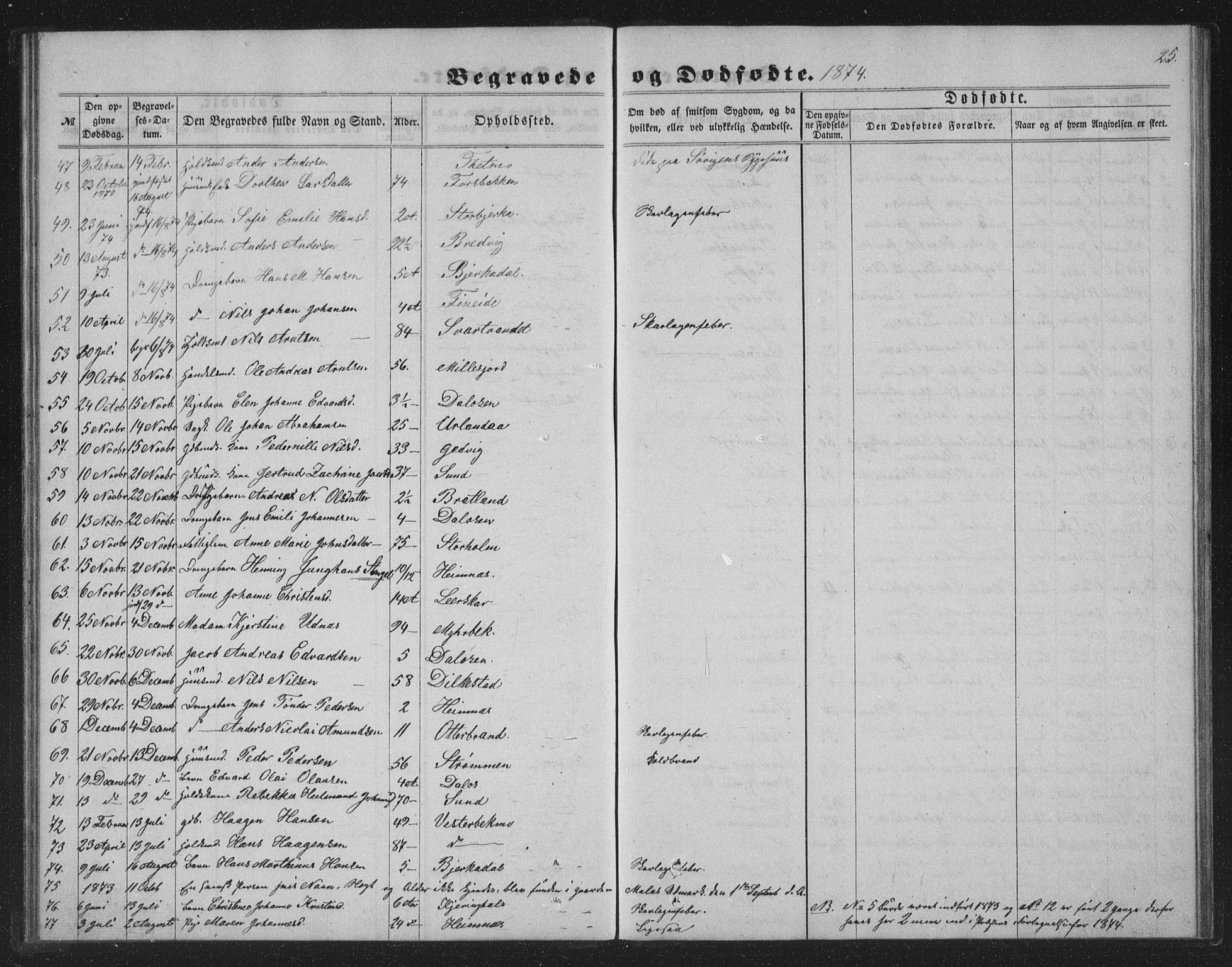 Ministerialprotokoller, klokkerbøker og fødselsregistre - Nordland, AV/SAT-A-1459/825/L0368: Parish register (copy) no. 825C05, 1863-1887, p. 25