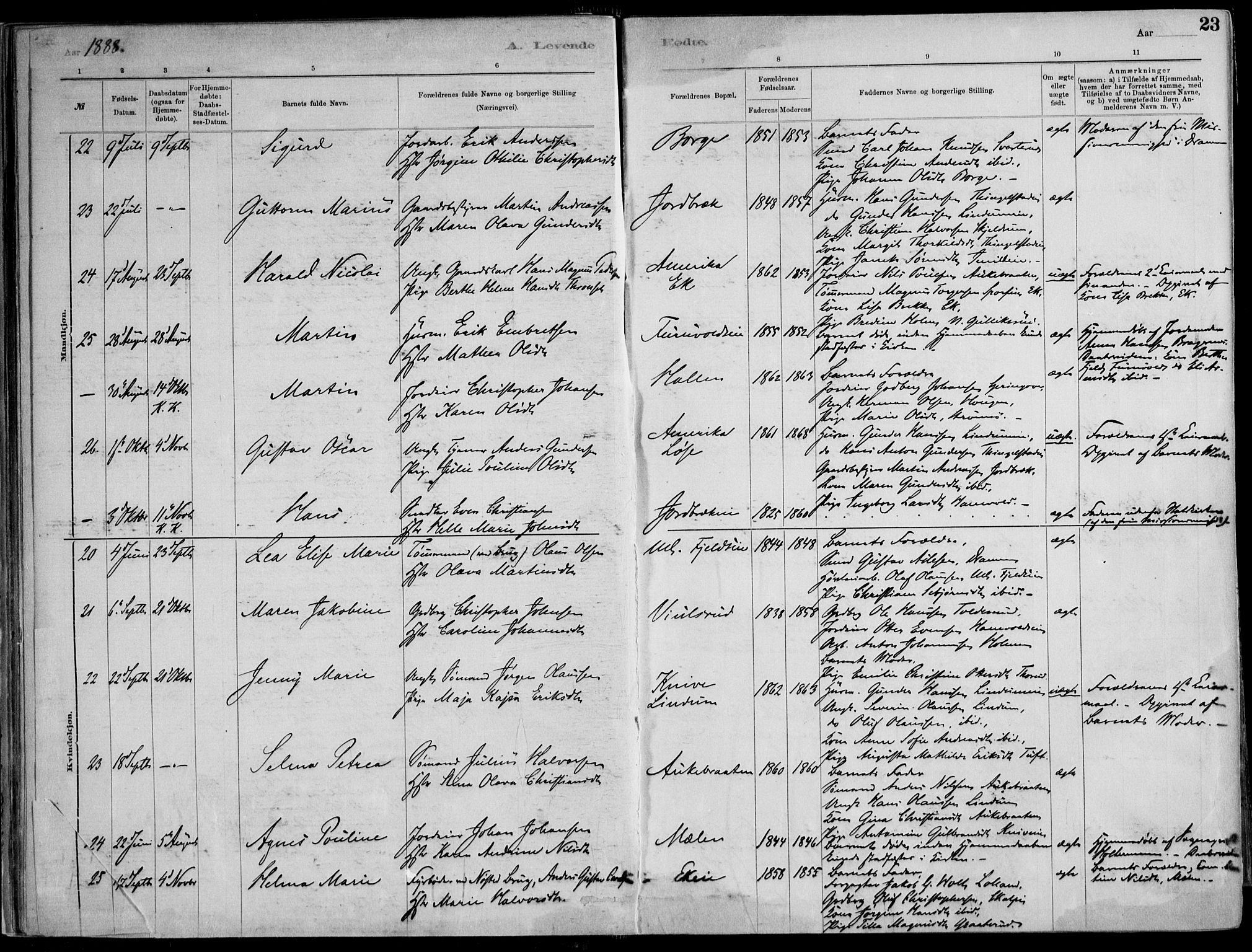 Skoger kirkebøker, AV/SAKO-A-59/F/Fa/L0006: Parish register (official) no. I 6, 1885-1910, p. 23