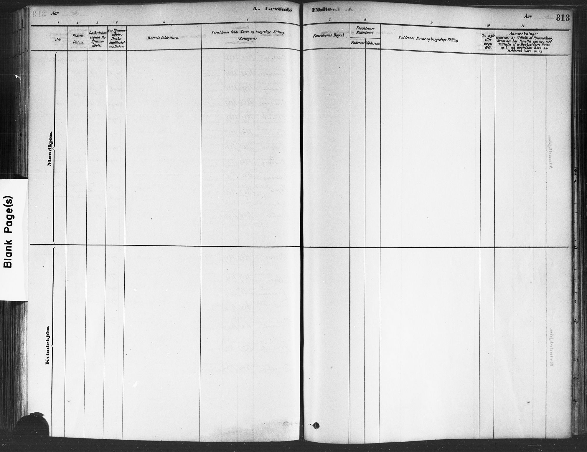 Onsøy prestekontor Kirkebøker, SAO/A-10914/F/Fa/L0005: Parish register (official) no. I 5, 1878-1898, p. 313