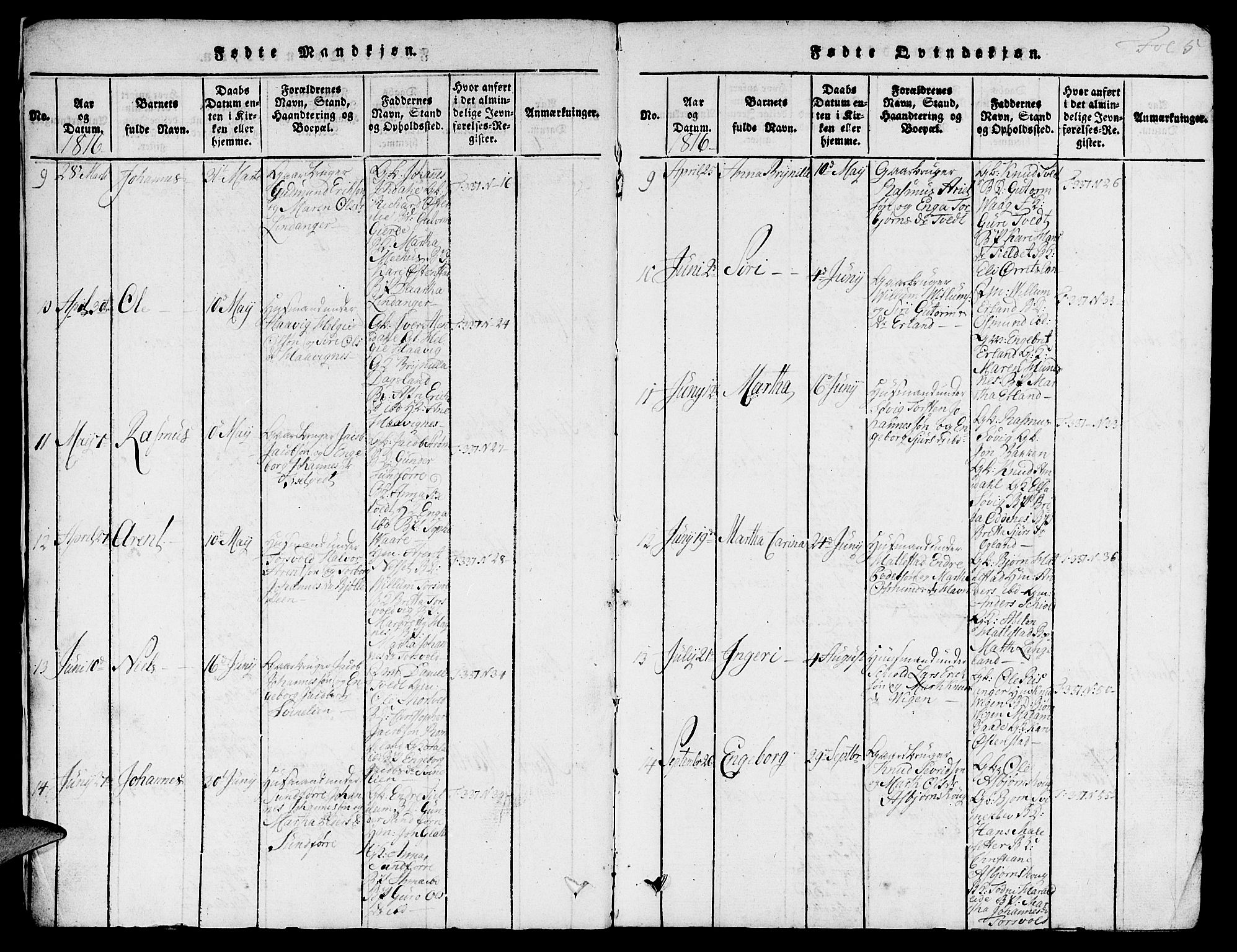 Skjold sokneprestkontor, AV/SAST-A-101847/H/Ha/Hab/L0001: Parish register (copy) no. B 1, 1815-1835, p. 5