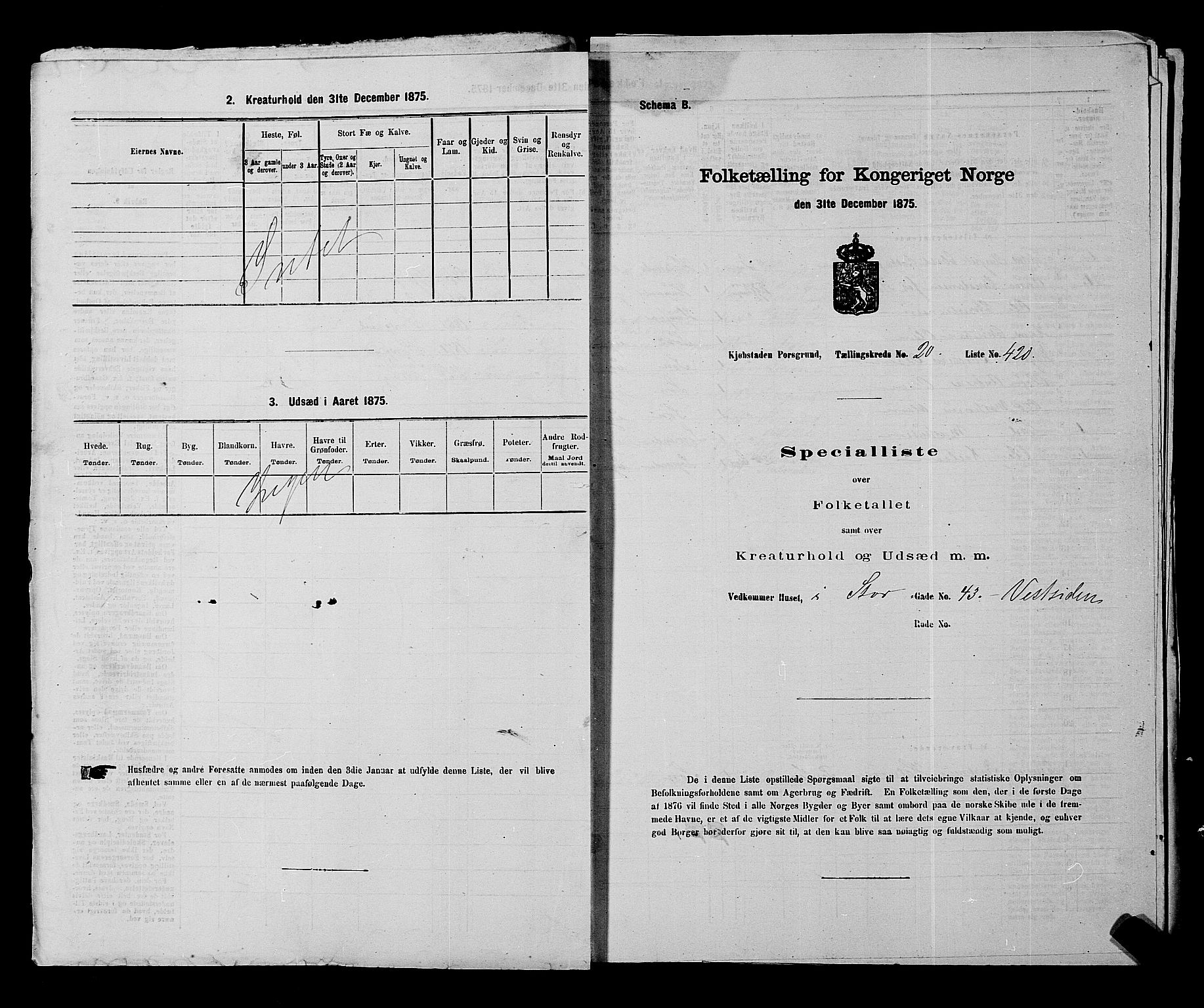 SAKO, 1875 census for 0805P Porsgrunn, 1875, p. 945