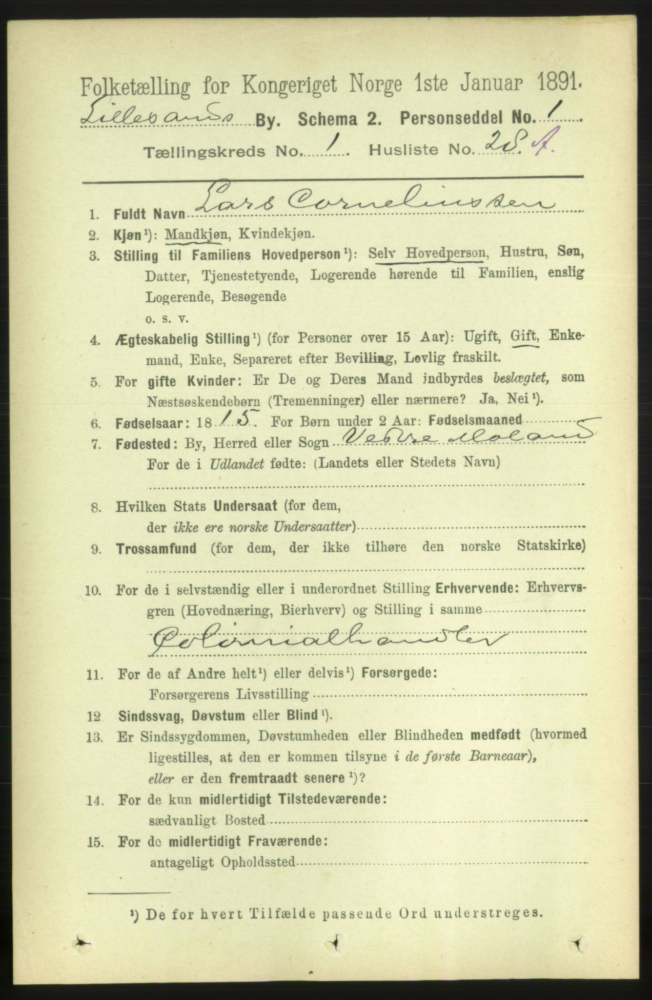 RA, 1891 census for 0905 Lillesand, 1891, p. 171