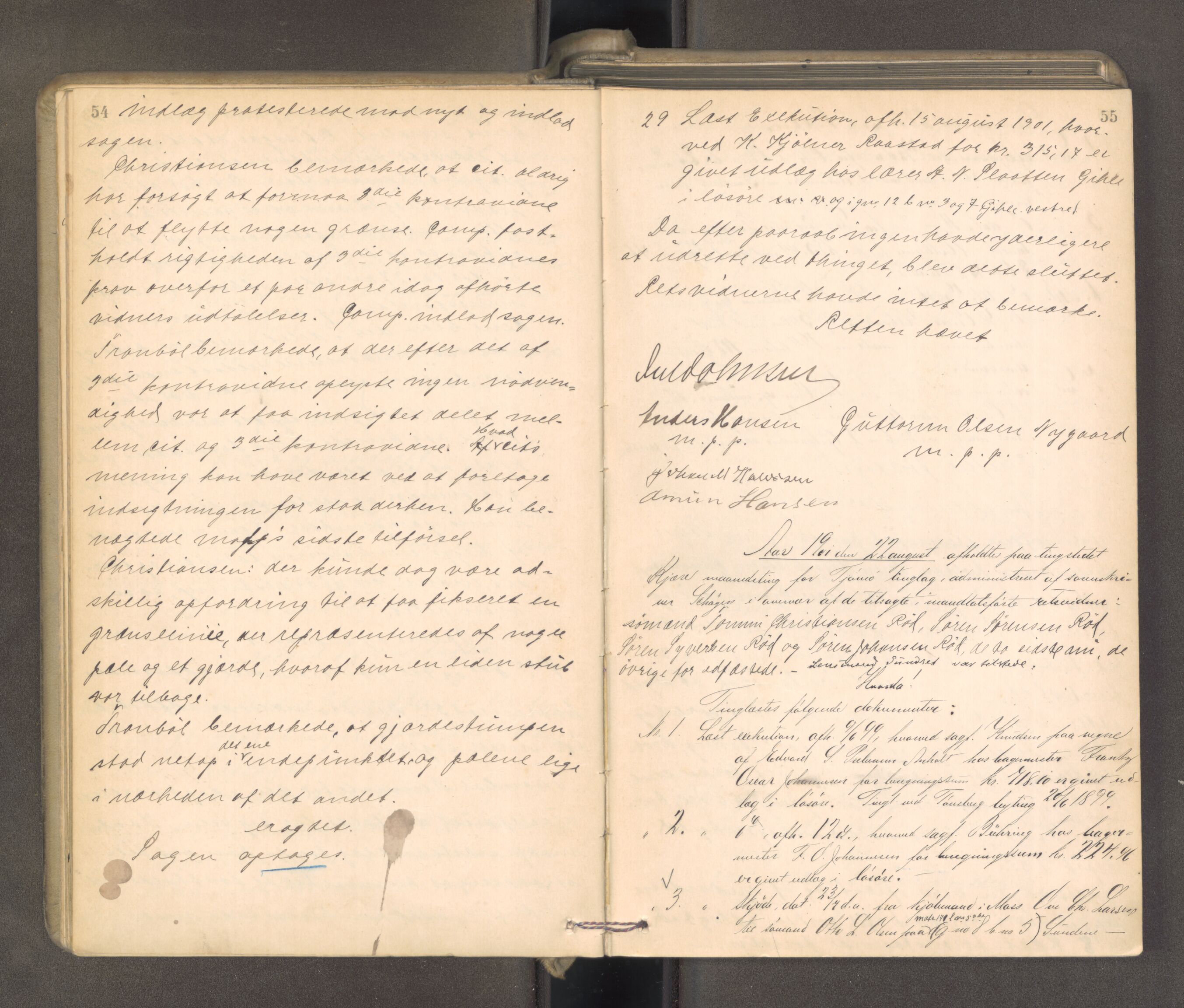 Søndre Jarlsberg sorenskriveri, AV/SAKO-A-129/F/Fa/L0043: Tingbok, 1901-1903, p. 54-55