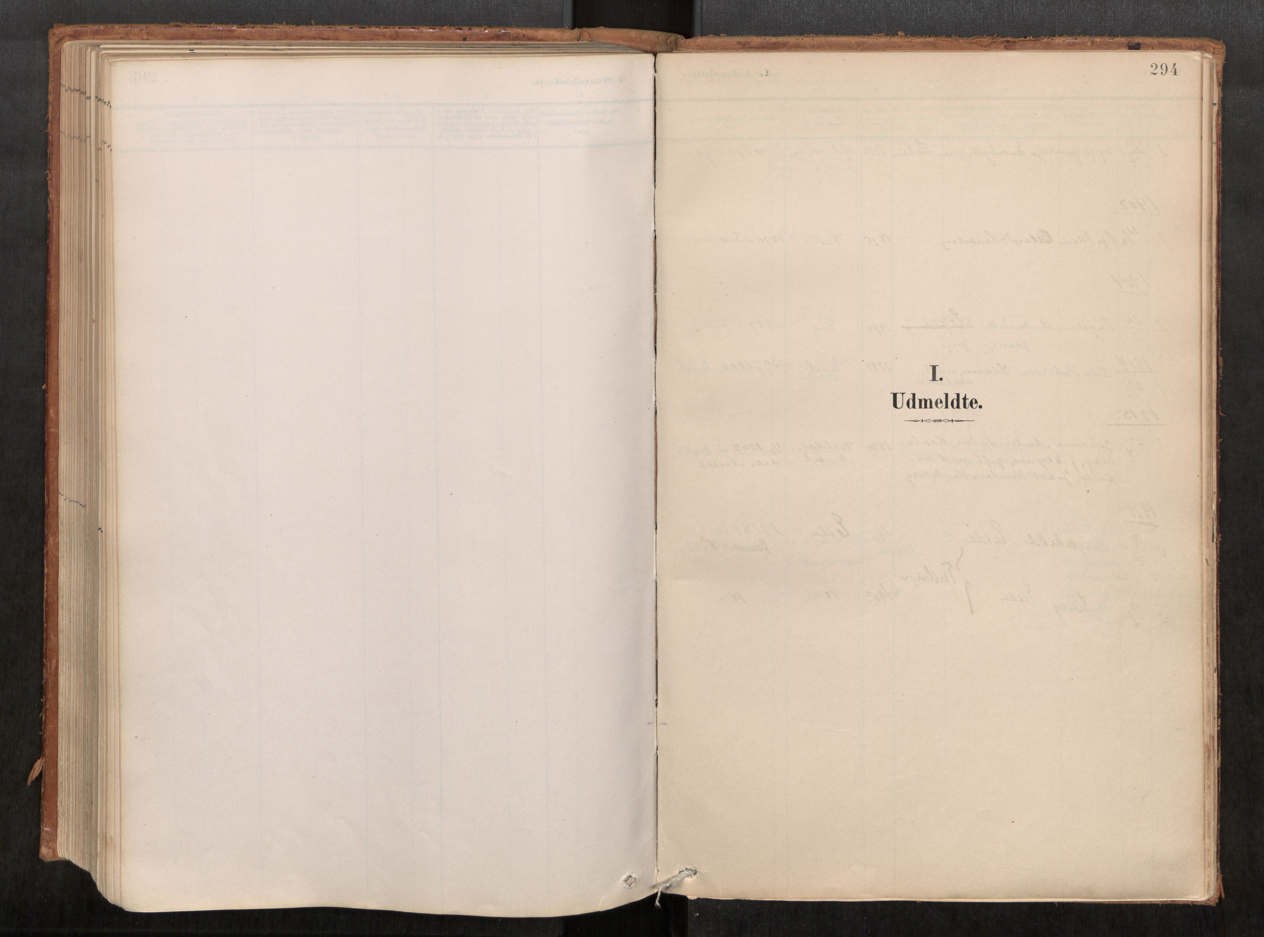 Ministerialprotokoller, klokkerbøker og fødselsregistre - Møre og Romsdal, SAT/A-1454/542/L0553: Parish register (official) no. 542A03, 1885-1925, p. 294