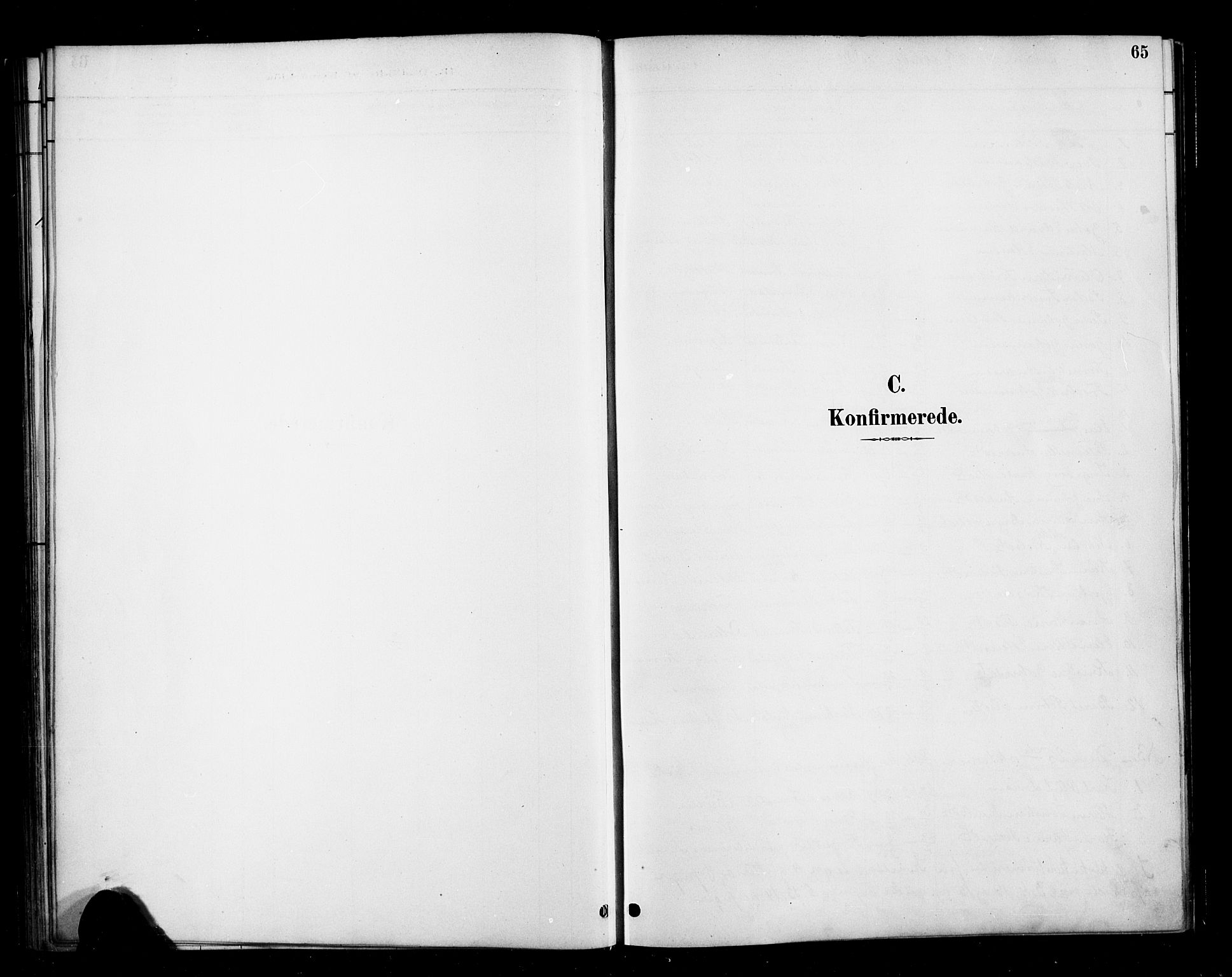 Ministerialprotokoller, klokkerbøker og fødselsregistre - Møre og Romsdal, SAT/A-1454/570/L0832: Parish register (official) no. 570A06, 1885-1900, p. 65