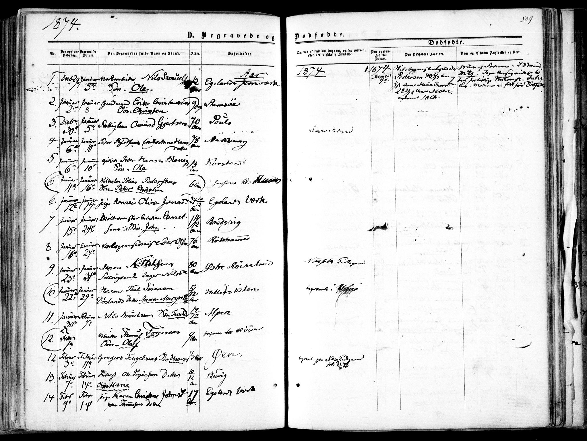 Søndeled sokneprestkontor, AV/SAK-1111-0038/F/Fa/L0003: Parish register (official) no. A 3, 1861-1879, p. 509