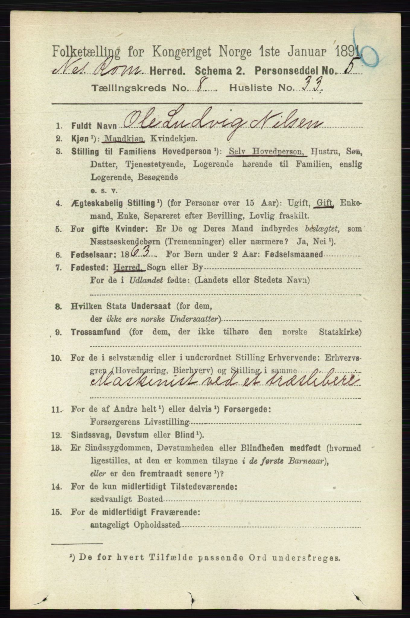 RA, 1891 census for 0236 Nes, 1891, p. 4807