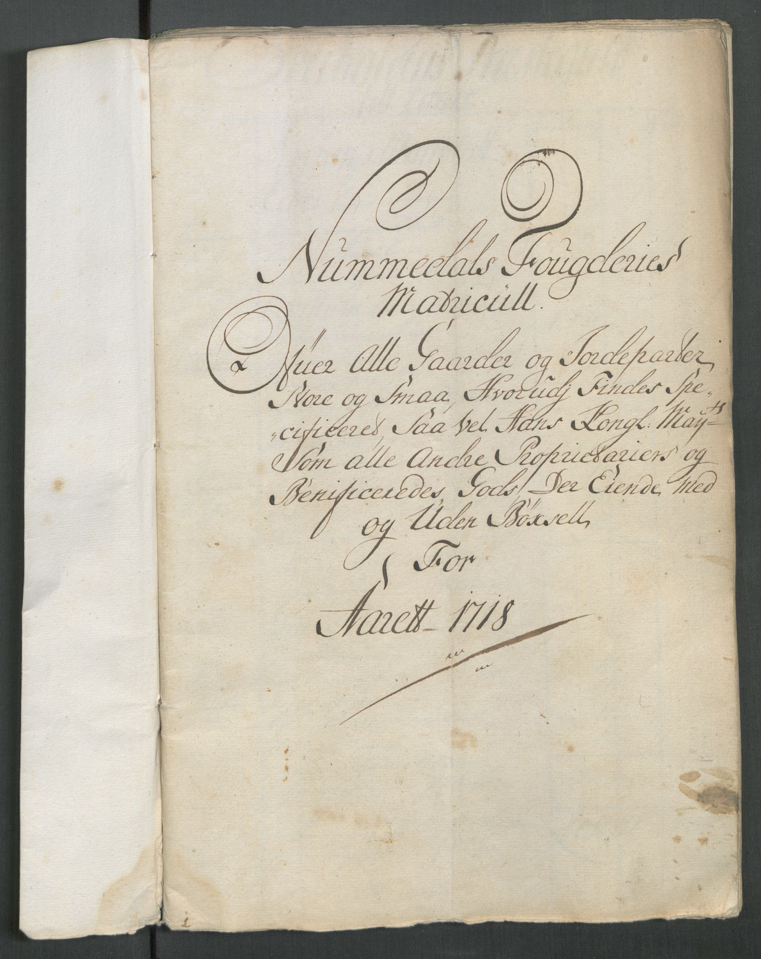 Rentekammeret inntil 1814, Reviderte regnskaper, Fogderegnskap, AV/RA-EA-4092/R64/L4439: Fogderegnskap Namdal, 1718, p. 19