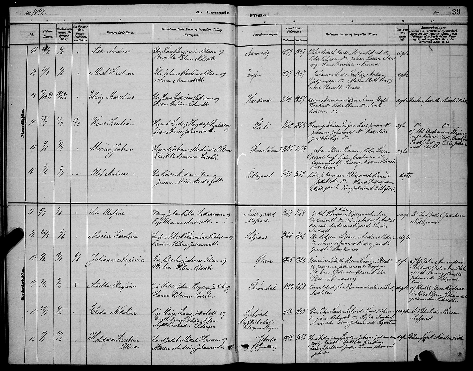 Ministerialprotokoller, klokkerbøker og fødselsregistre - Nordland, AV/SAT-A-1459/853/L0772: Parish register (official) no. 853A11, 1881-1900, p. 39