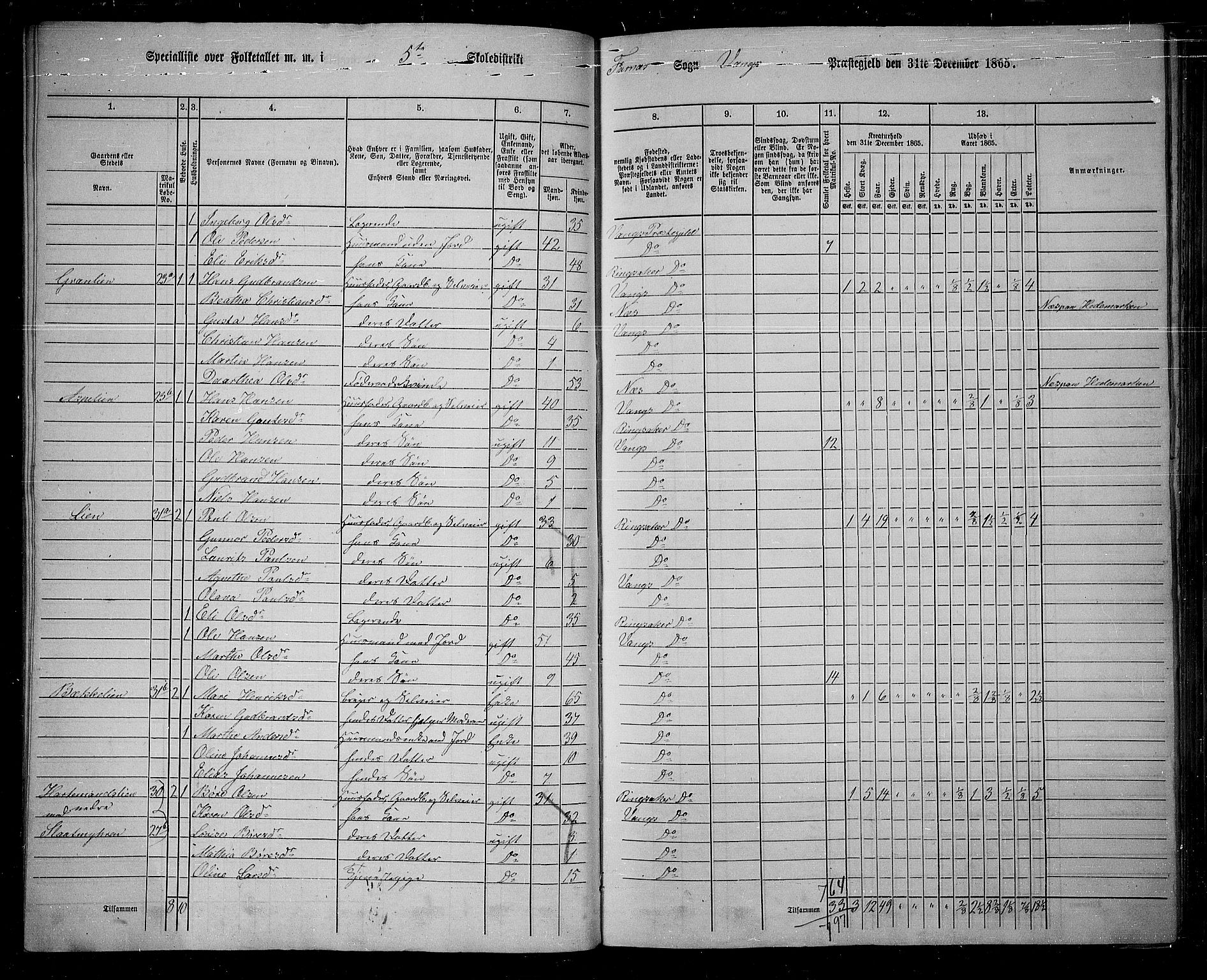 RA, 1865 census for Vang/Vang og Furnes, 1865, p. 43