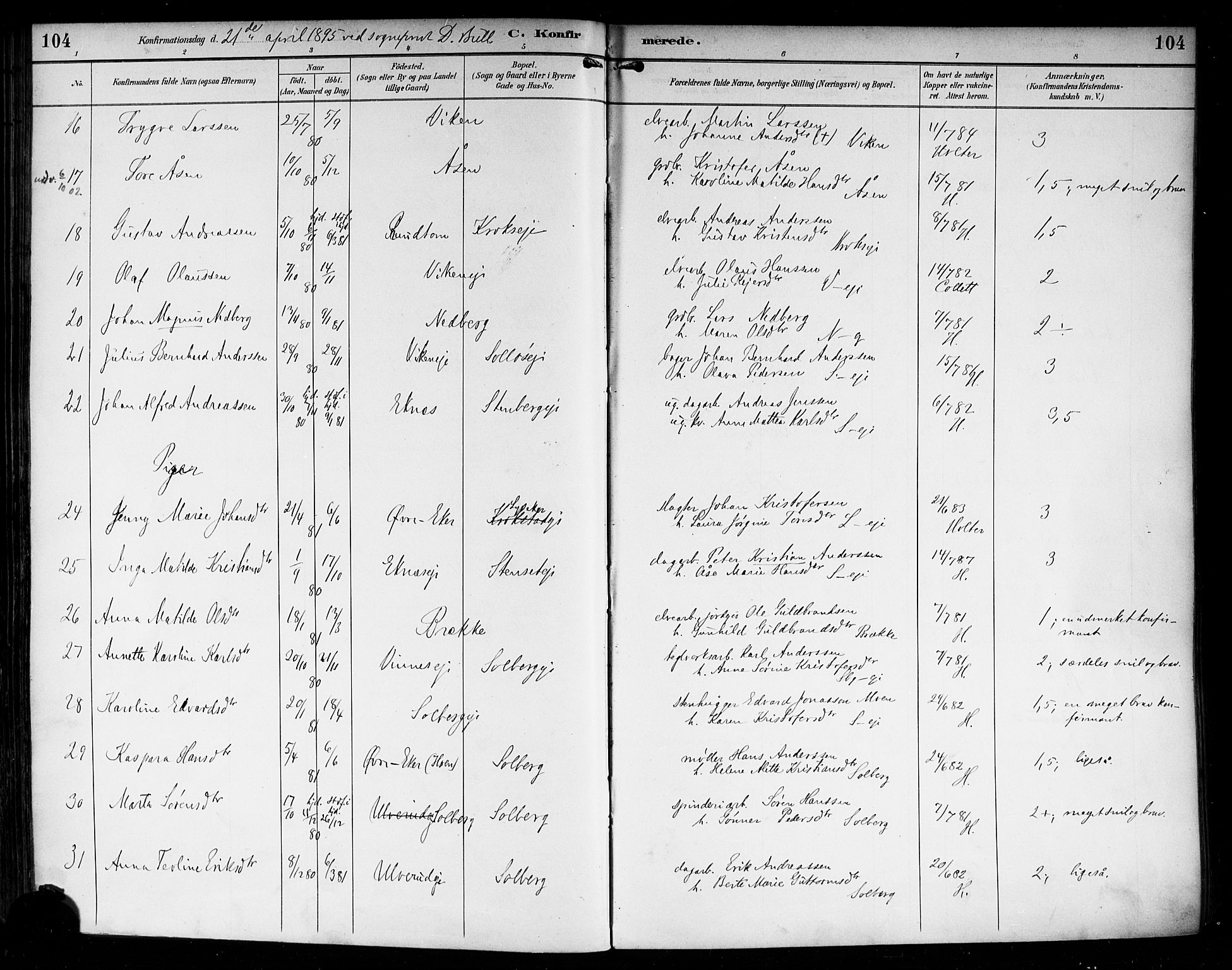 Nedre Eiker kirkebøker, AV/SAKO-A-612/F/Fa/L0004: Parish register (official) no. 4, 1893-1898, p. 104