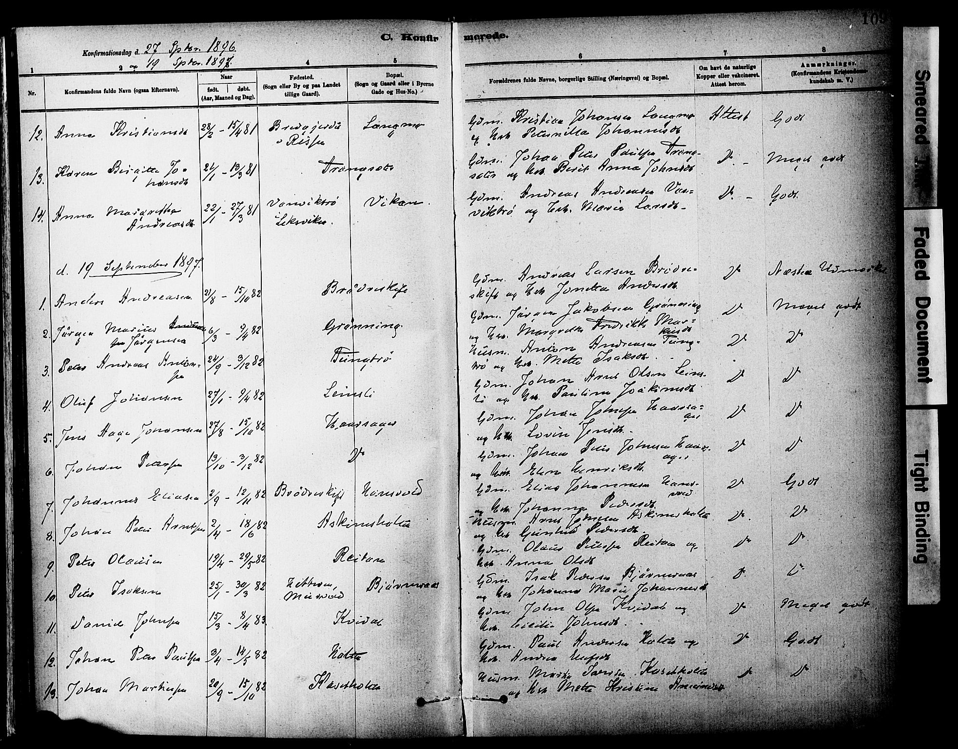 Ministerialprotokoller, klokkerbøker og fødselsregistre - Sør-Trøndelag, SAT/A-1456/646/L0615: Parish register (official) no. 646A13, 1885-1900, p. 109