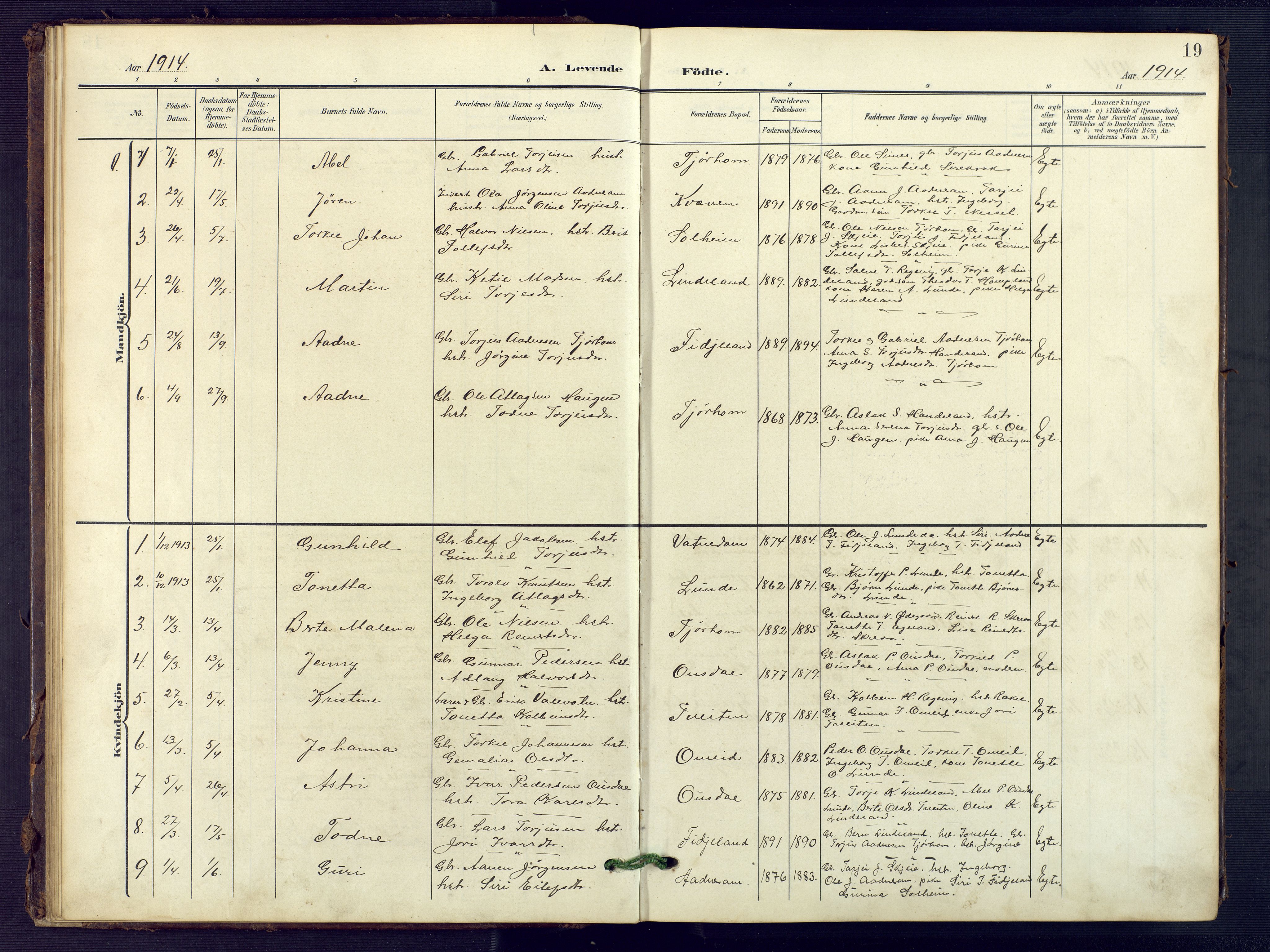 Sirdal sokneprestkontor, SAK/1111-0036/F/Fb/Fba/L0002: Parish register (copy) no. B 2, 1905-1958, p. 19