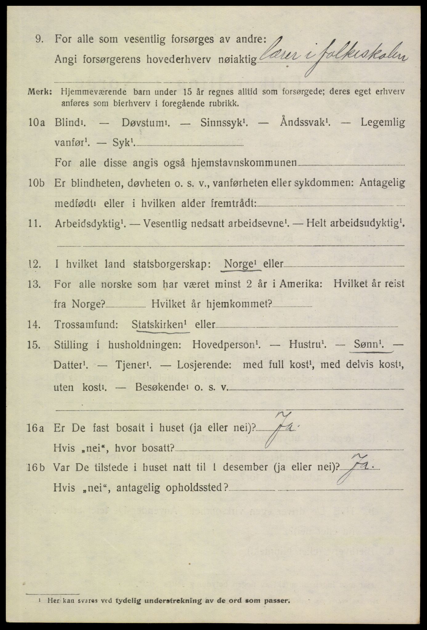 SAH, 1920 census for Vinger, 1920, p. 8925