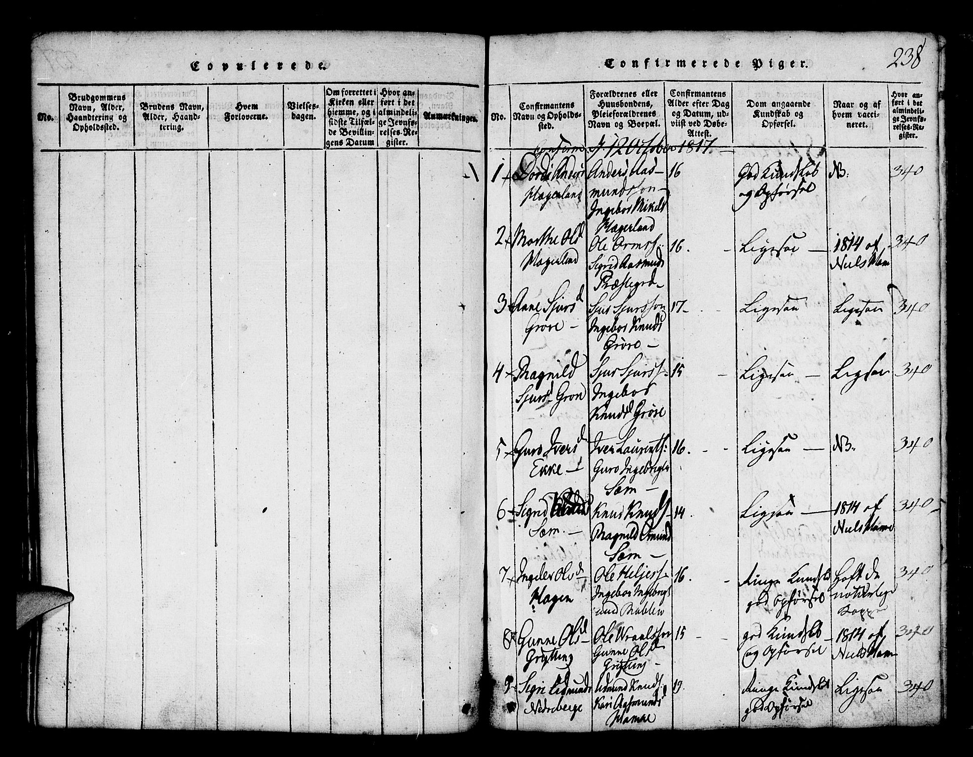 Røldal sokneprestembete, AV/SAB-A-100247: Parish register (copy) no. A 1, 1817-1860, p. 238