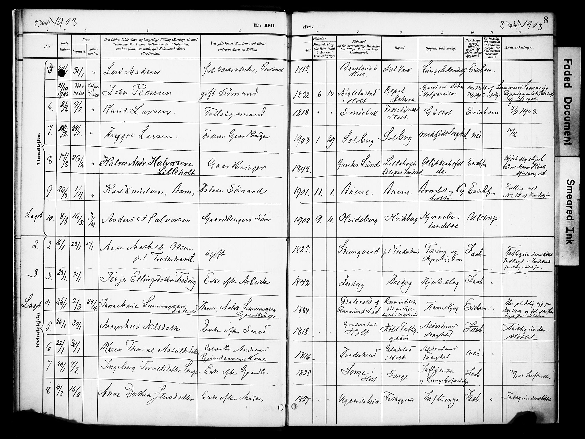 Holt sokneprestkontor, AV/SAK-1111-0021/F/Fa/L0013: Parish register (official) no. A 13, 1900-1912, p. 8