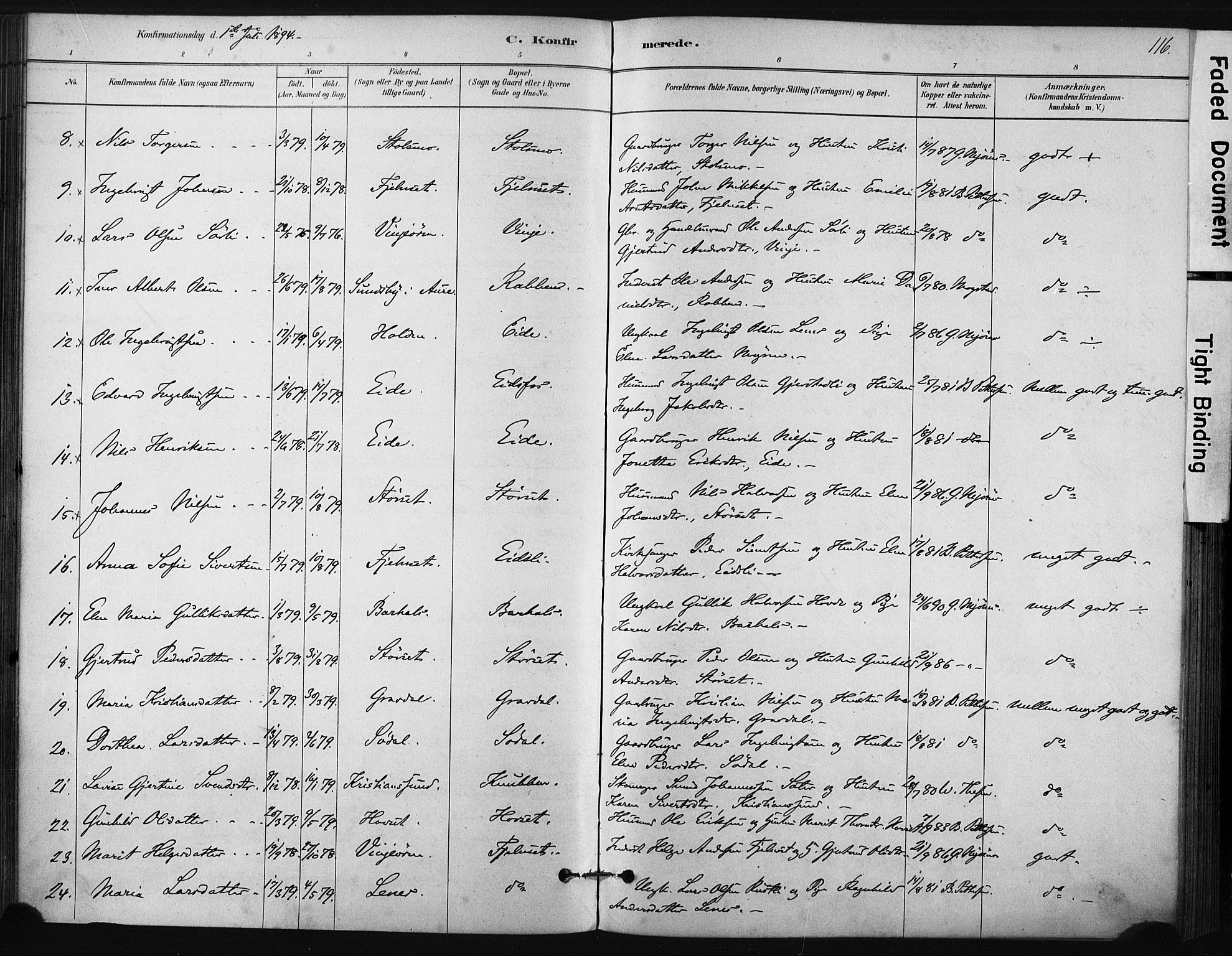 Ministerialprotokoller, klokkerbøker og fødselsregistre - Sør-Trøndelag, AV/SAT-A-1456/631/L0512: Parish register (official) no. 631A01, 1879-1912, p. 116