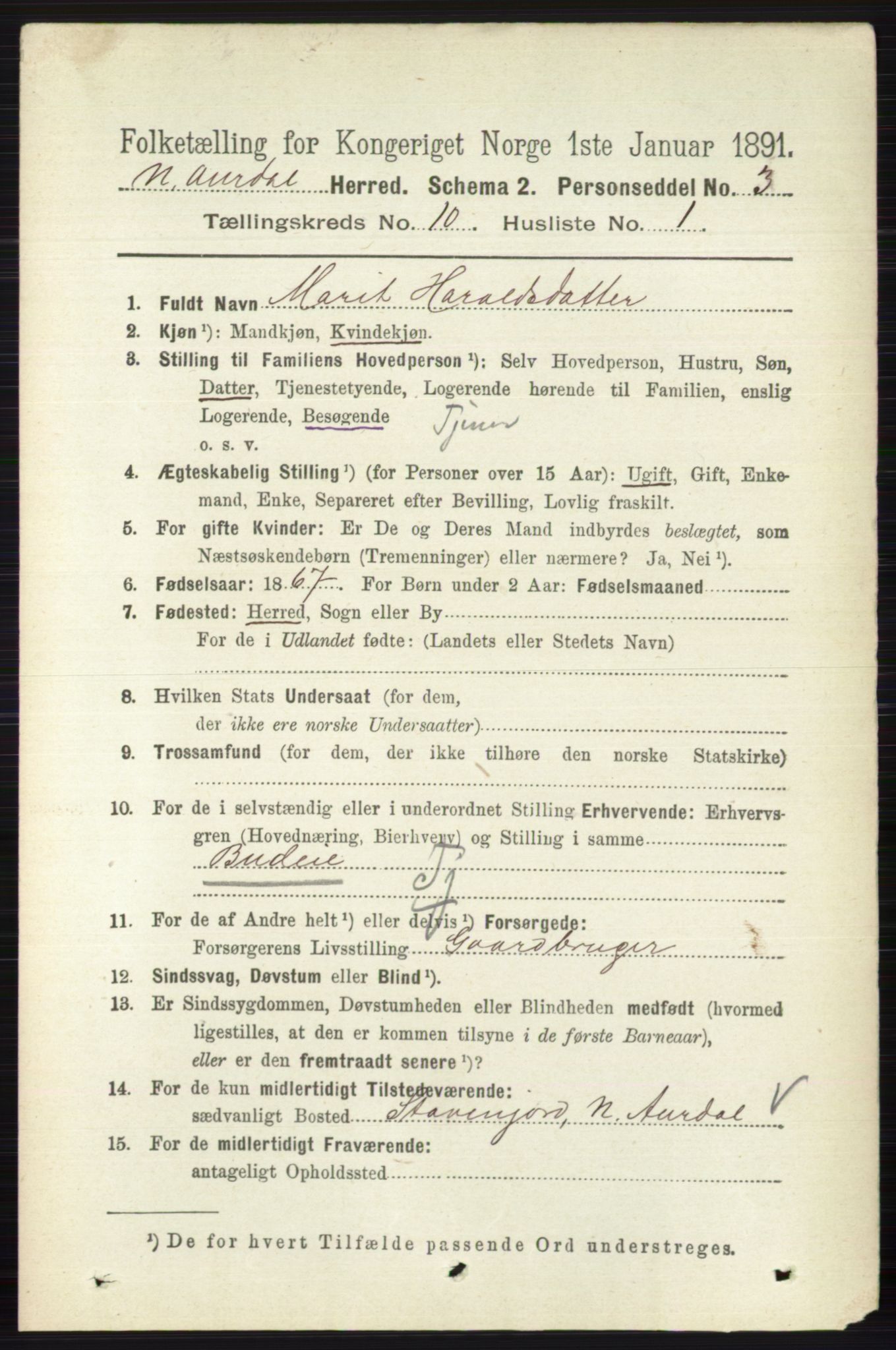 RA, 1891 census for 0542 Nord-Aurdal, 1891, p. 3733