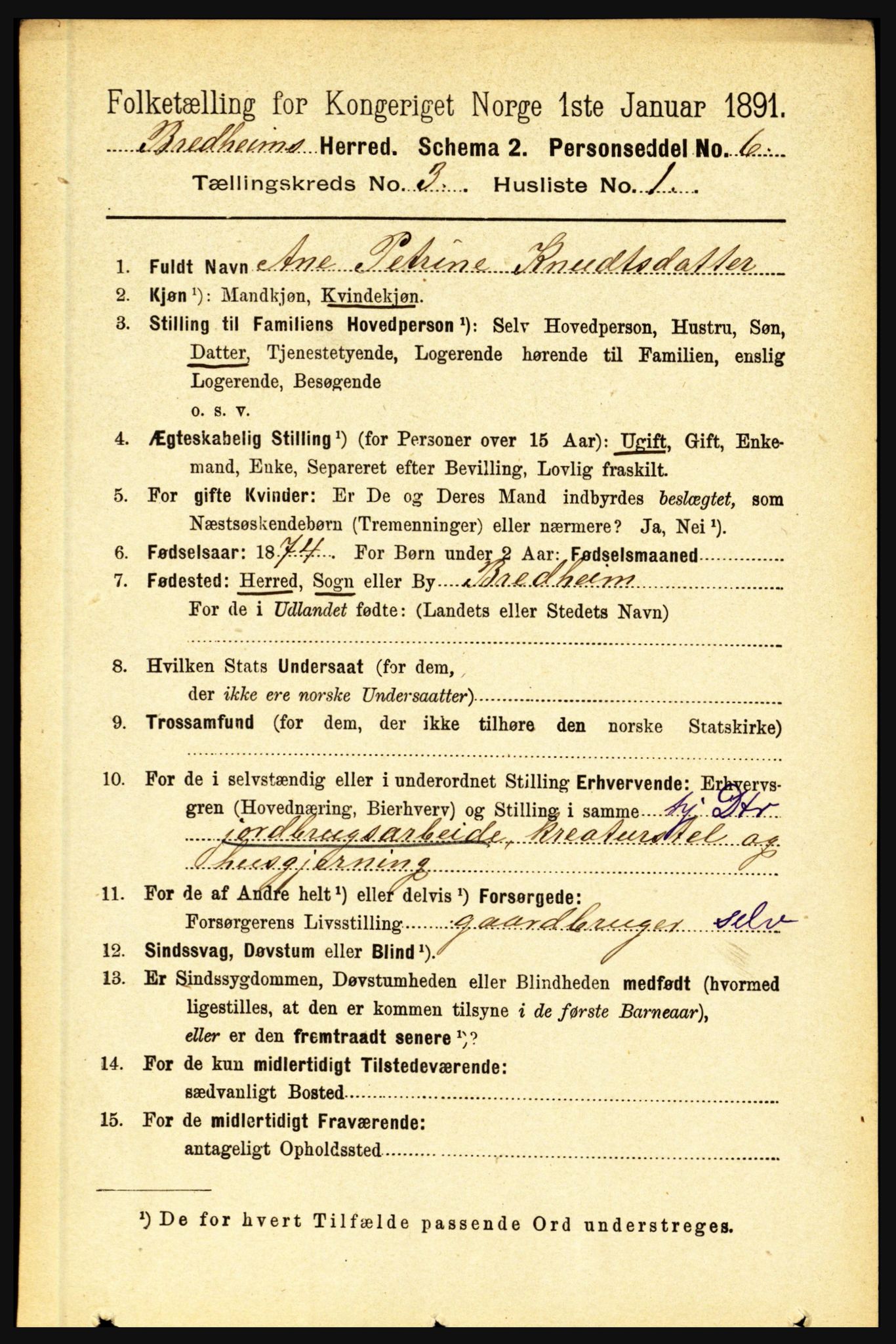 RA, 1891 census for 1446 Breim, 1891, p. 882