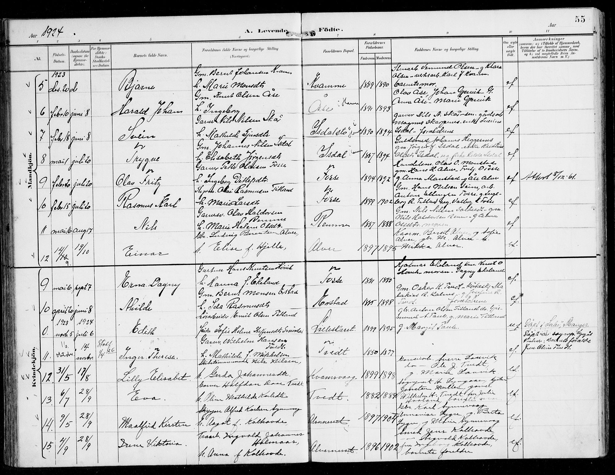 Alversund Sokneprestembete, SAB/A-73901/H/Ha/Haa/Haaa/L0003: Parish register (official) no. A 3, 1897-1926, p. 55
