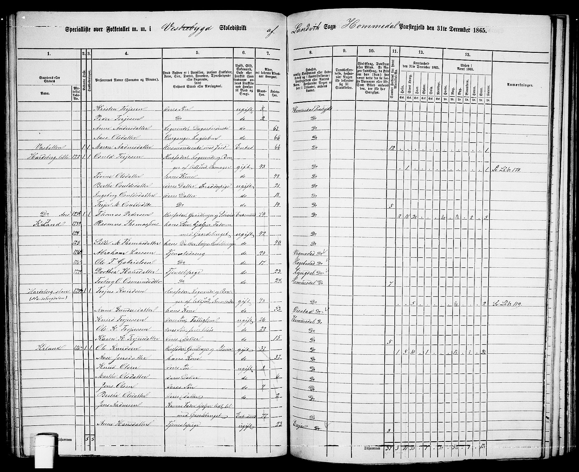 RA, 1865 census for Homedal, 1865, p. 117