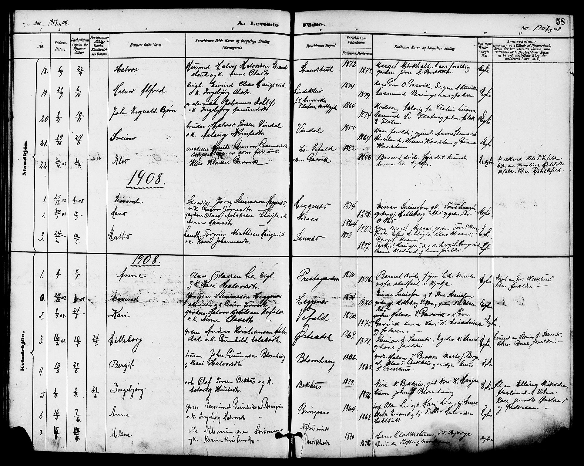 Seljord kirkebøker, SAKO/A-20/G/Ga/L0005: Parish register (copy) no. I 5, 1887-1914, p. 58