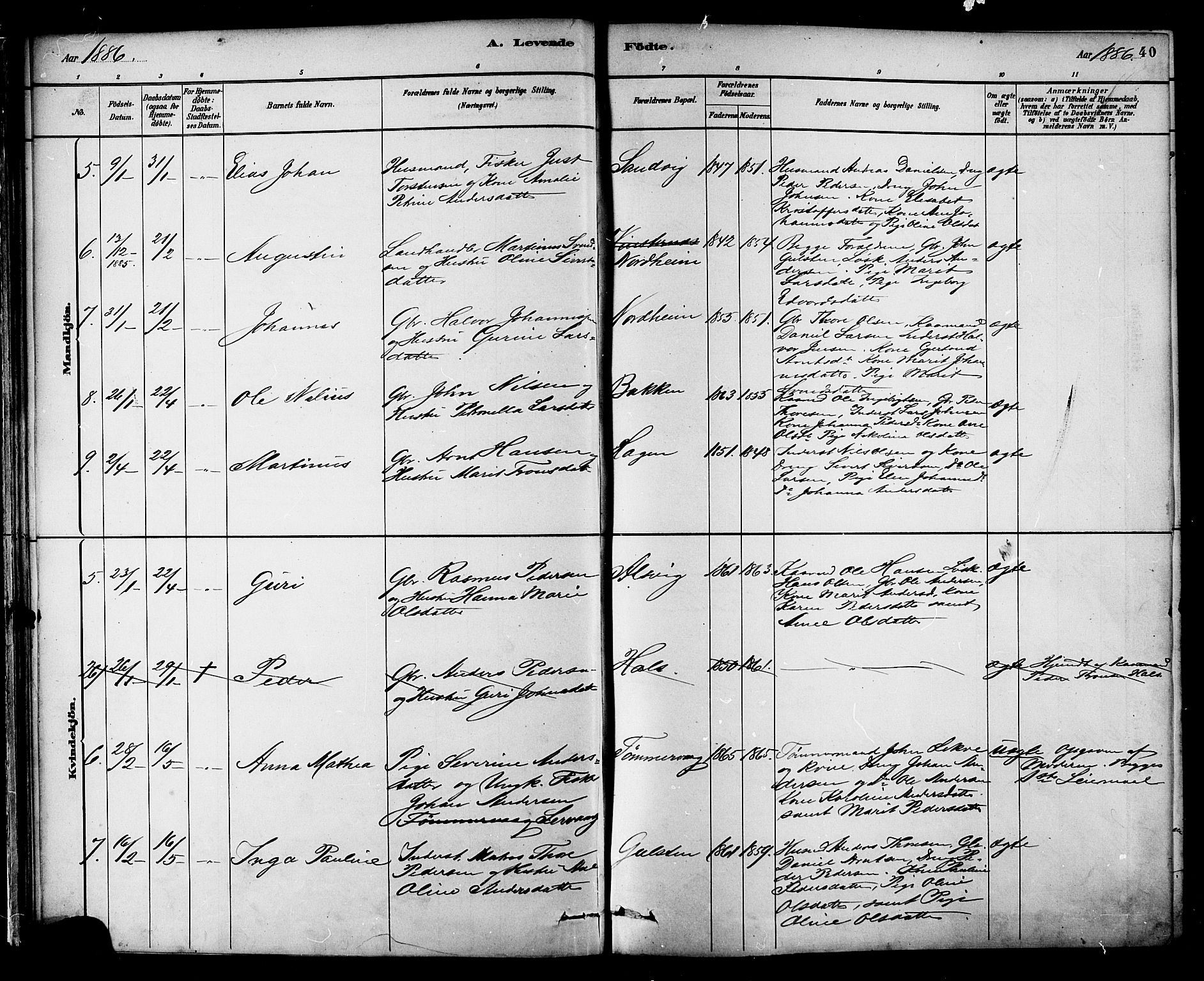 Ministerialprotokoller, klokkerbøker og fødselsregistre - Møre og Romsdal, AV/SAT-A-1454/577/L0896: Parish register (official) no. 577A03, 1880-1898, p. 40