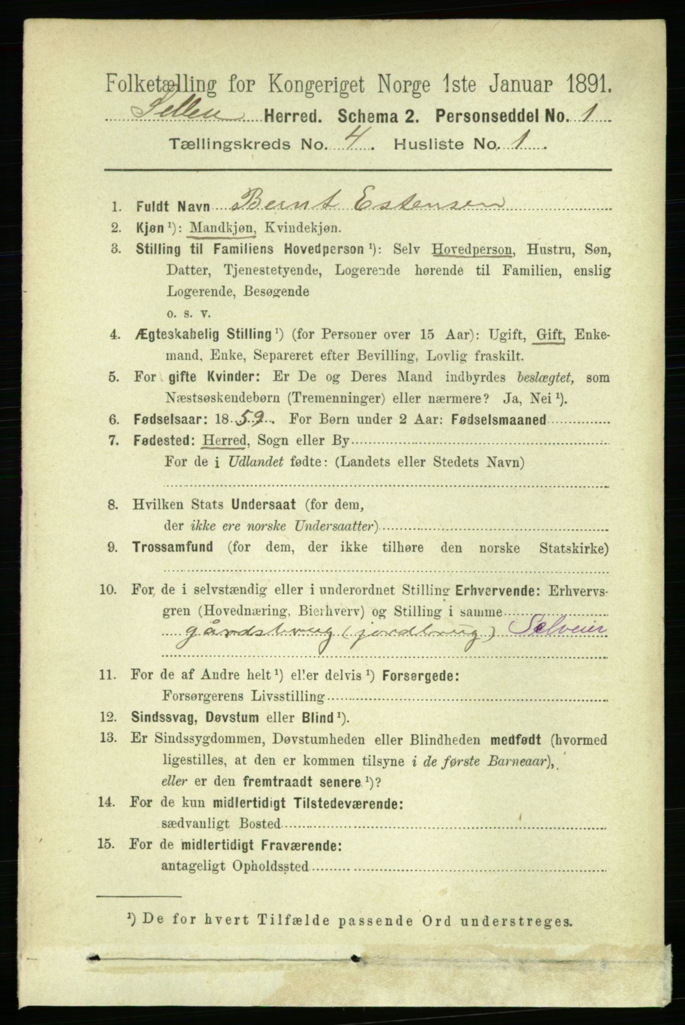 RA, 1891 census for 1664 Selbu, 1891, p. 1063