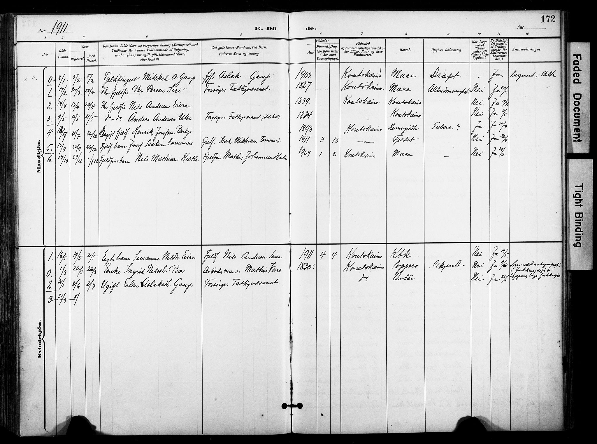 Kautokeino sokneprestembete, SATØ/S-1340/H/Ha/L0005.kirke: Parish register (official) no. 5, 1896-1916, p. 172