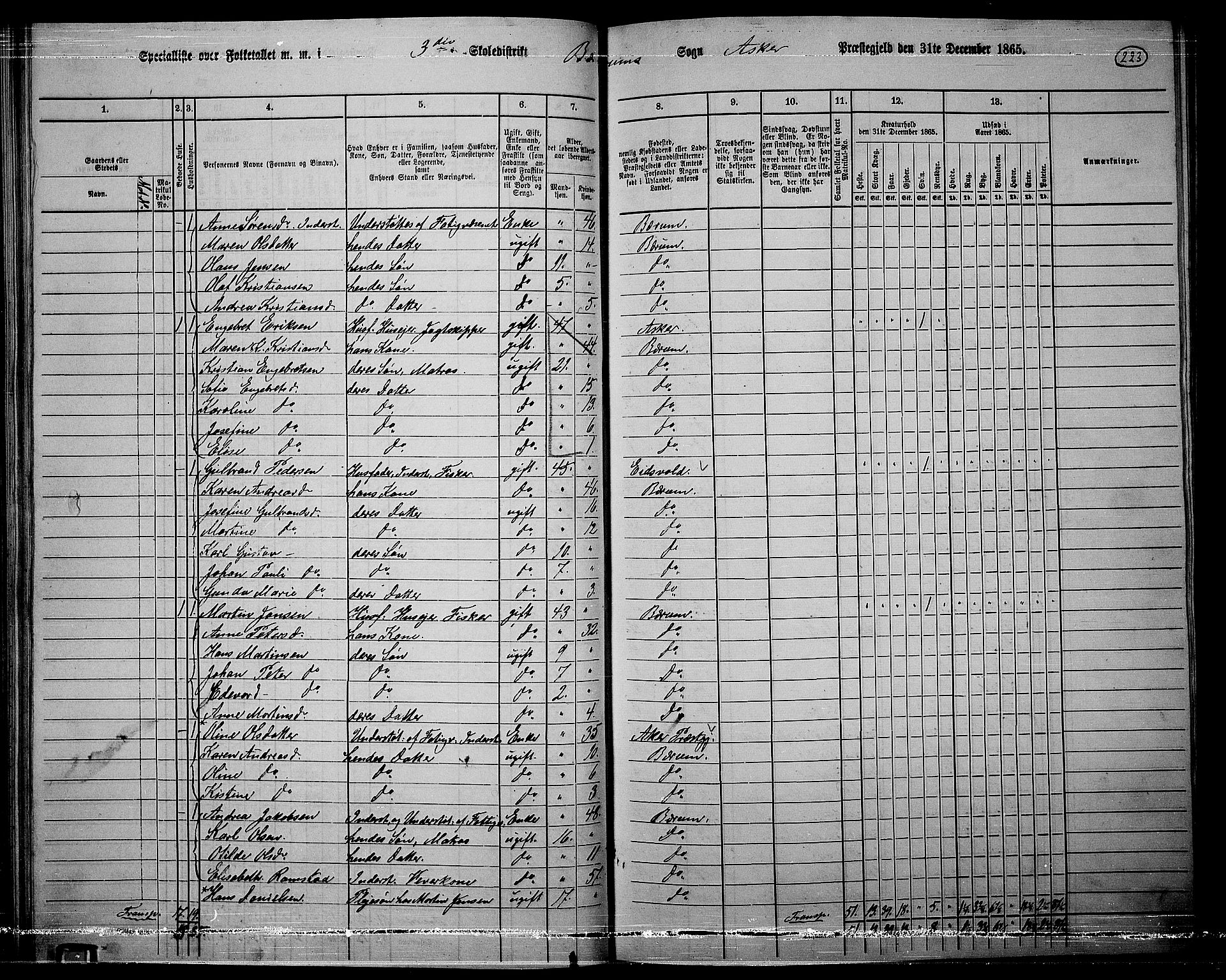 RA, 1865 census for Asker, 1865, p. 215