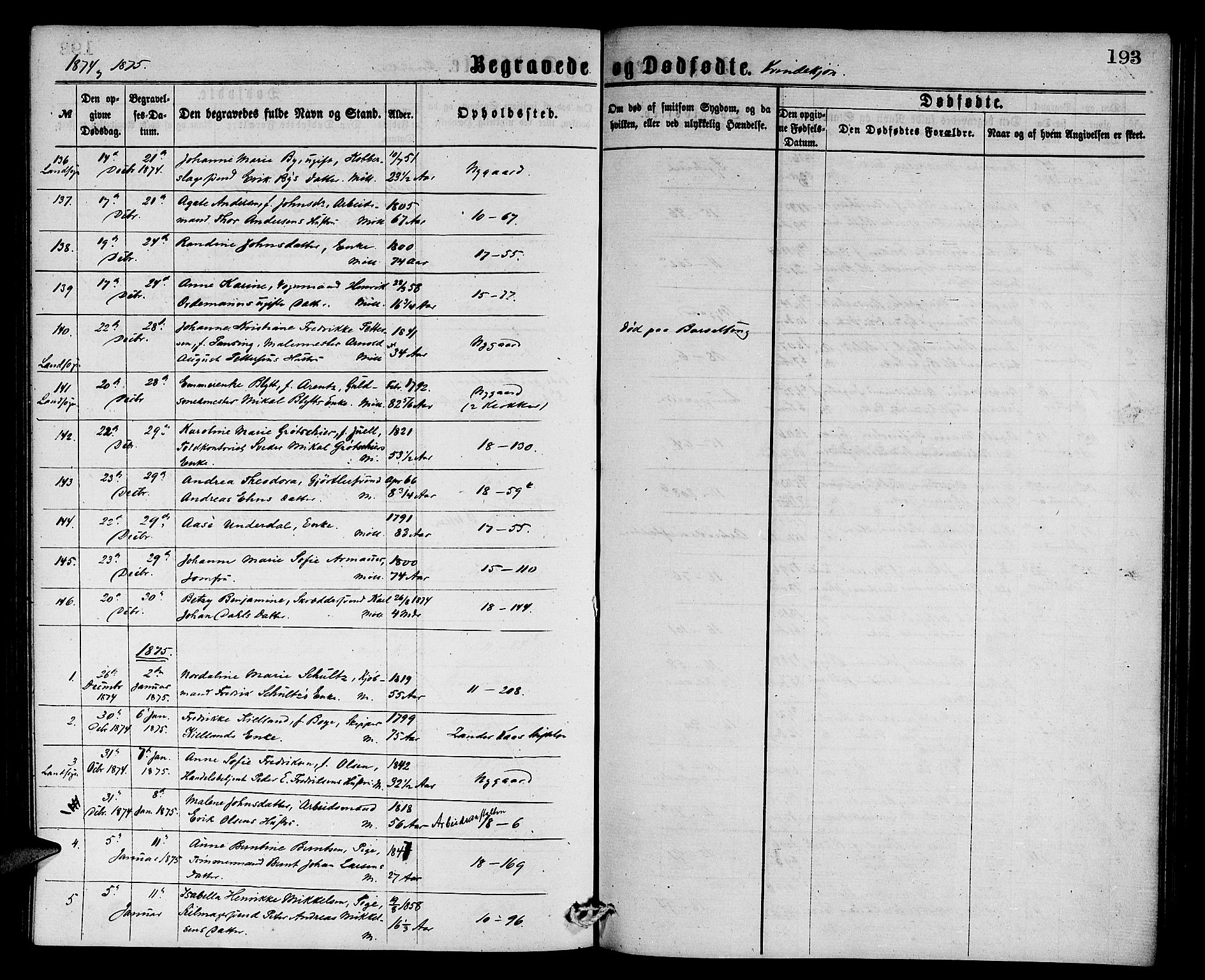 Domkirken sokneprestembete, SAB/A-74801/H/Hab/L0040: Parish register (copy) no. E 4, 1868-1877, p. 193