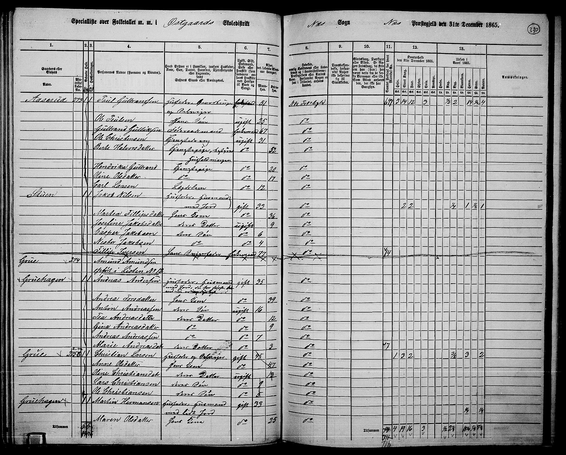 RA, 1865 census for Nes, 1865, p. 305