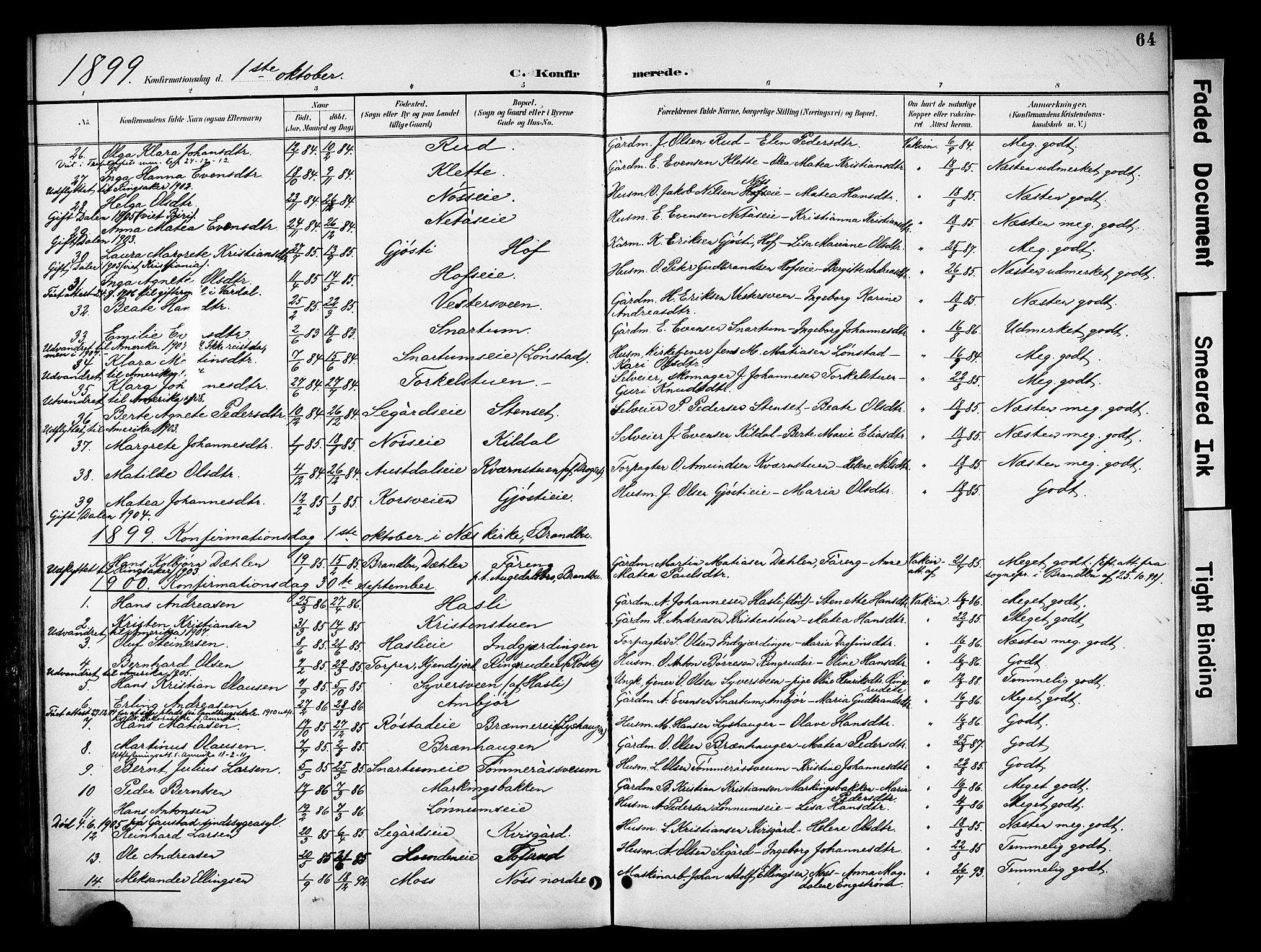 Biri prestekontor, SAH/PREST-096/H/Ha/Haa/L0008: Parish register (official) no. 8, 1894-1901, p. 64